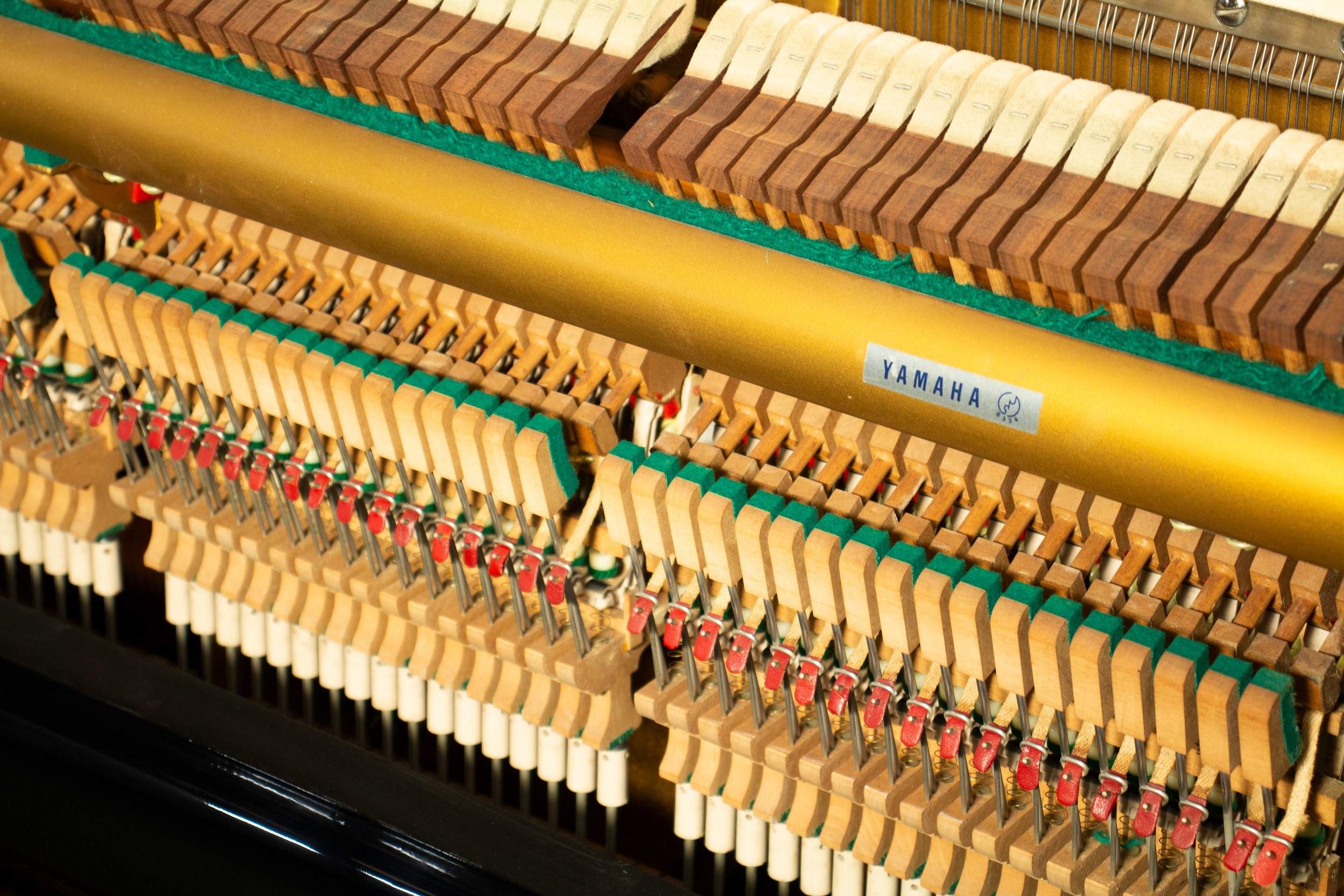 Nhac cu Minh Phung anh 2