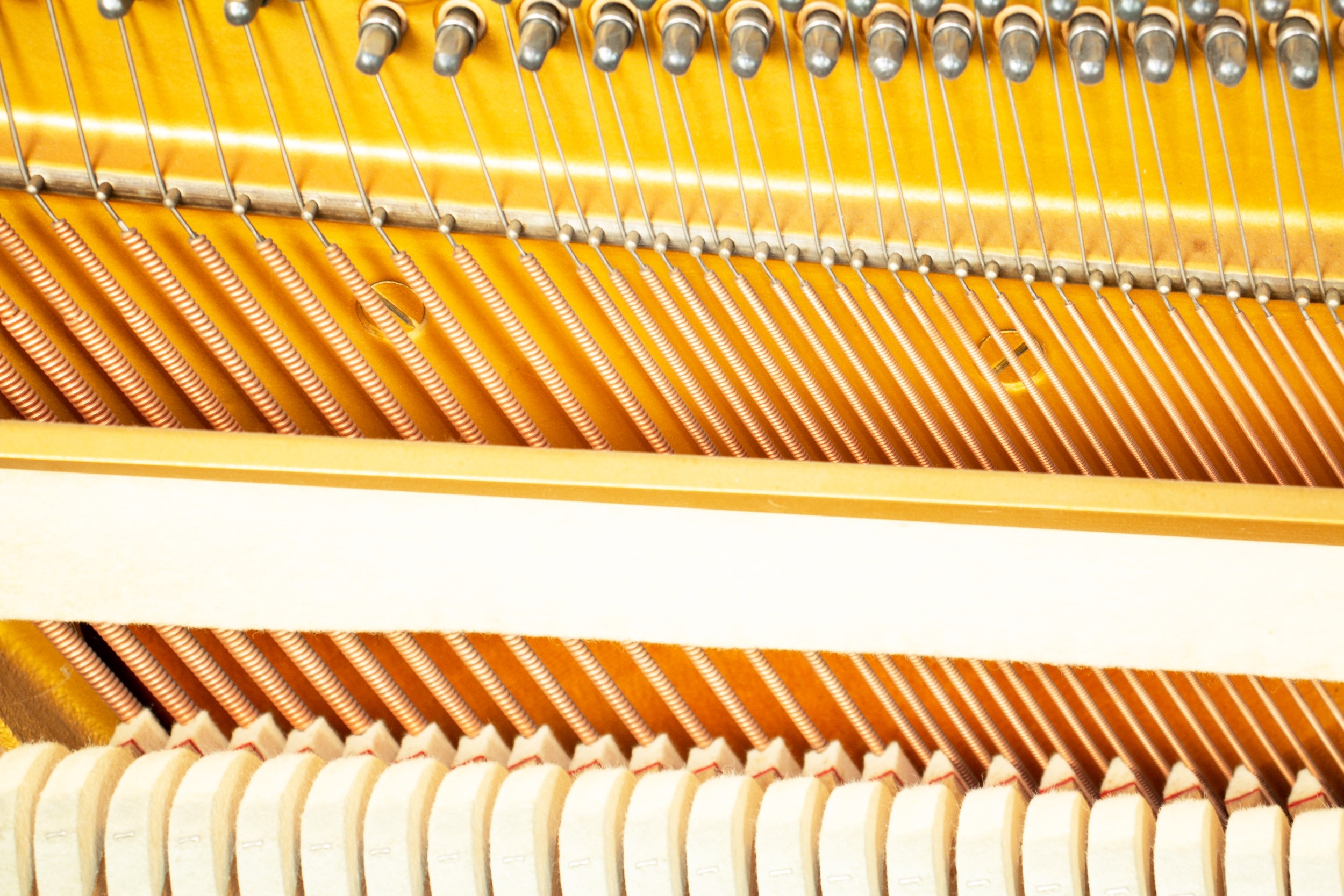 Nhac cu Minh Phung anh 3