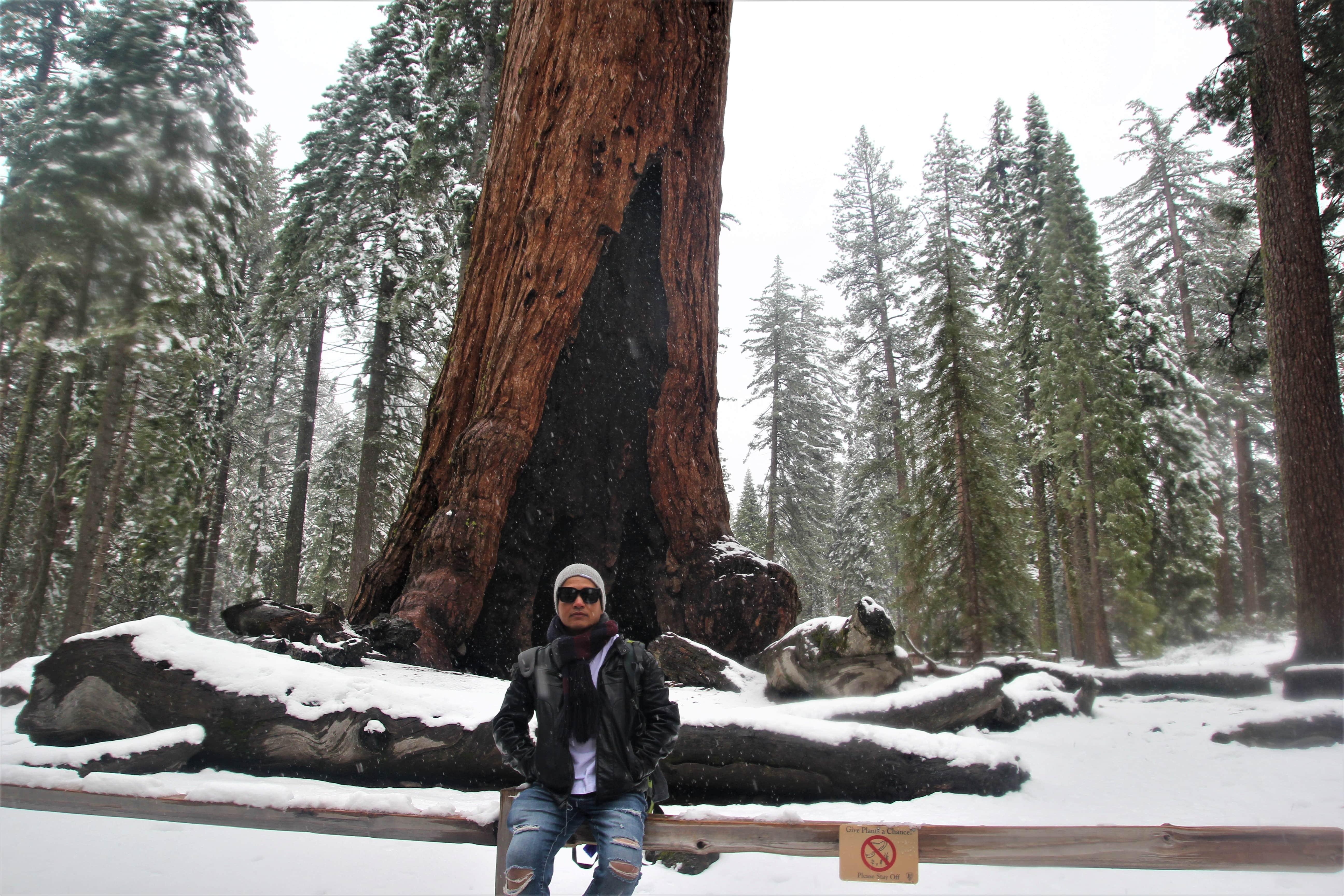 Nhung neo duong nuoc My anh 4