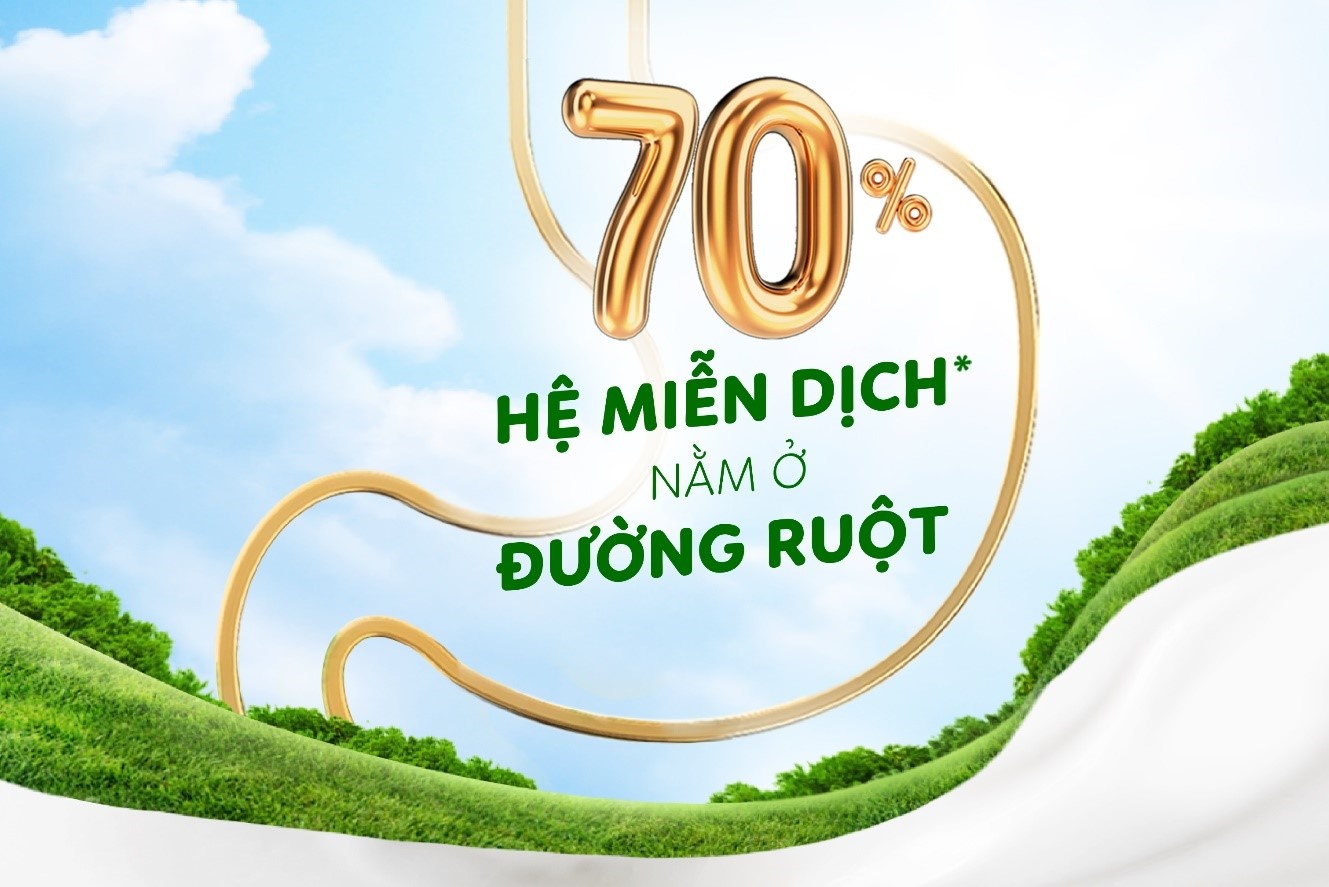 hệ miễn dịch ảnh 1 he mien dich anh 1