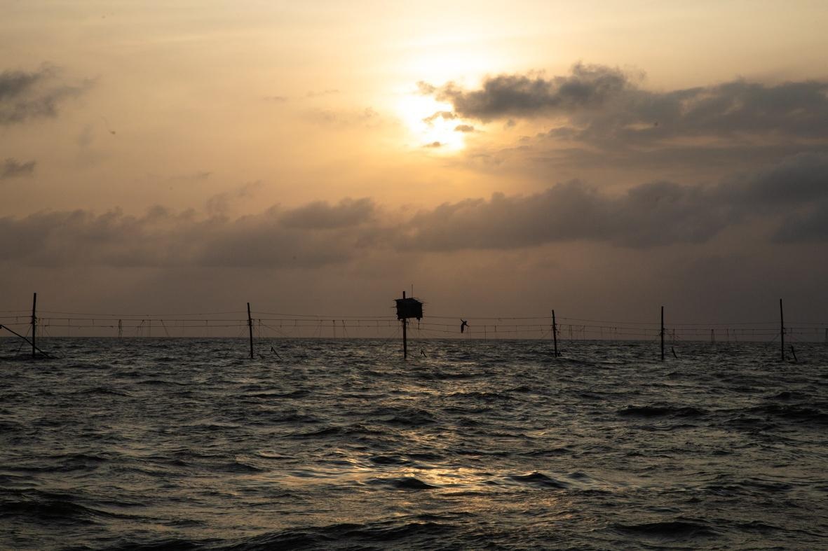 Tro tan ruc ro anh 3