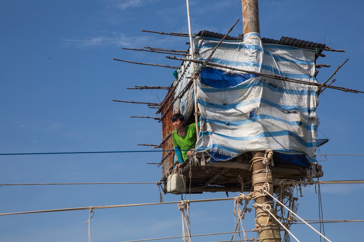 Tro tan ruc ro anh 4