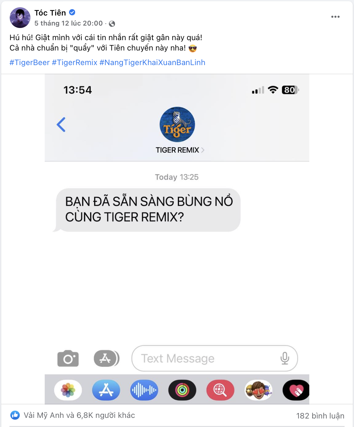 Tiger Remix,  Tiger anh 1