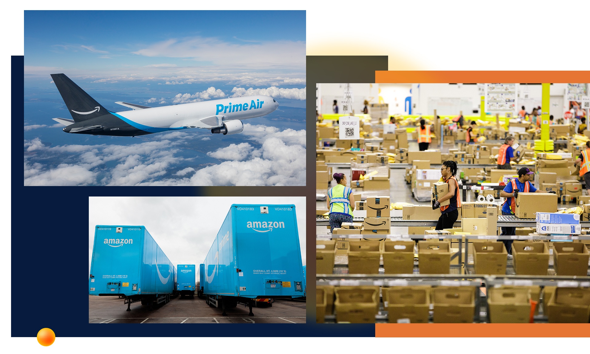 Amazon ảnh 8 Amazon anh 8