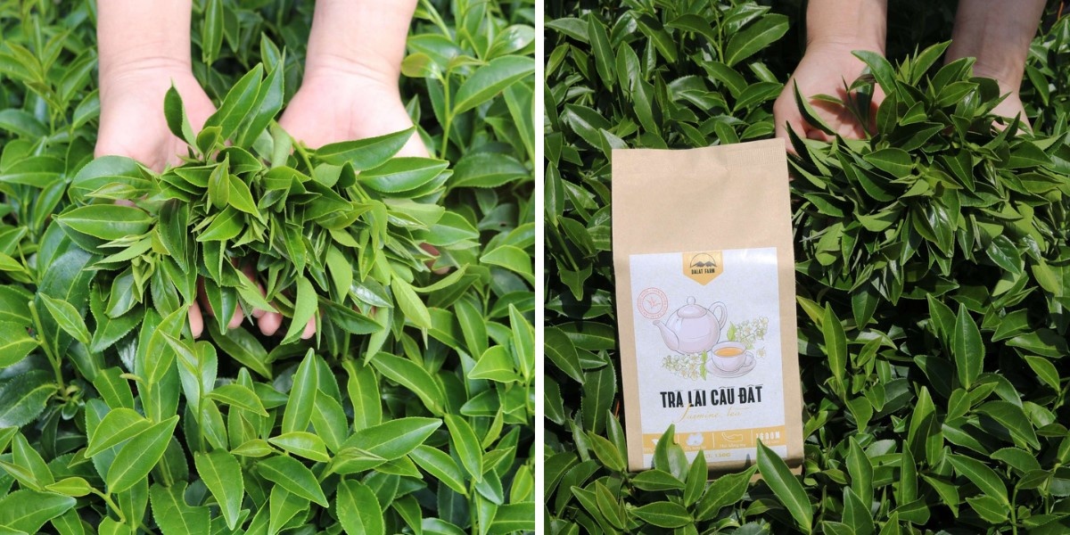 Sieu sale Shopee anh 1