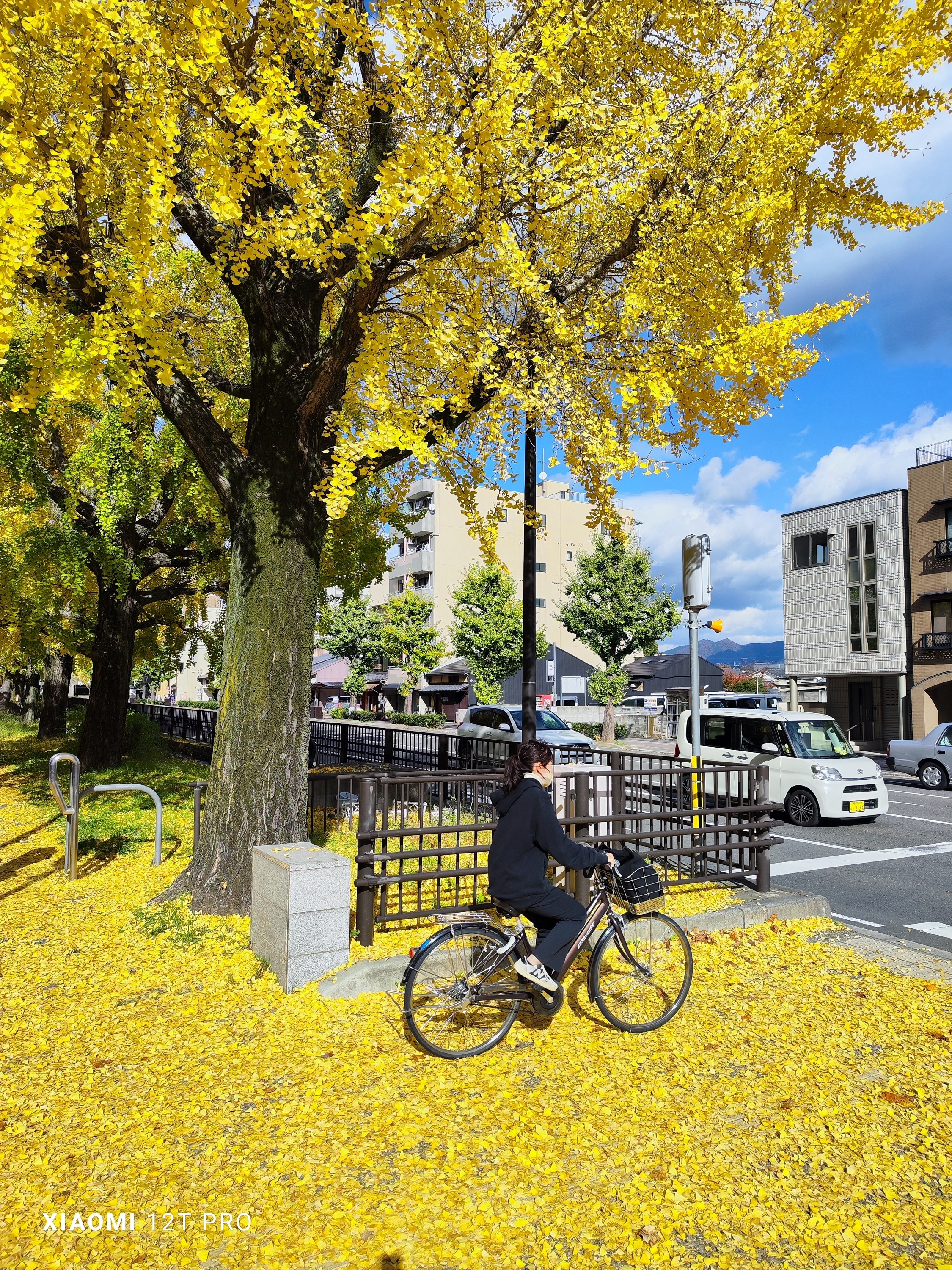 Xiaomi 12T Pro, chụp ảnh ảnh 3 Xiaomi 12T Pro, chup anh anh 3