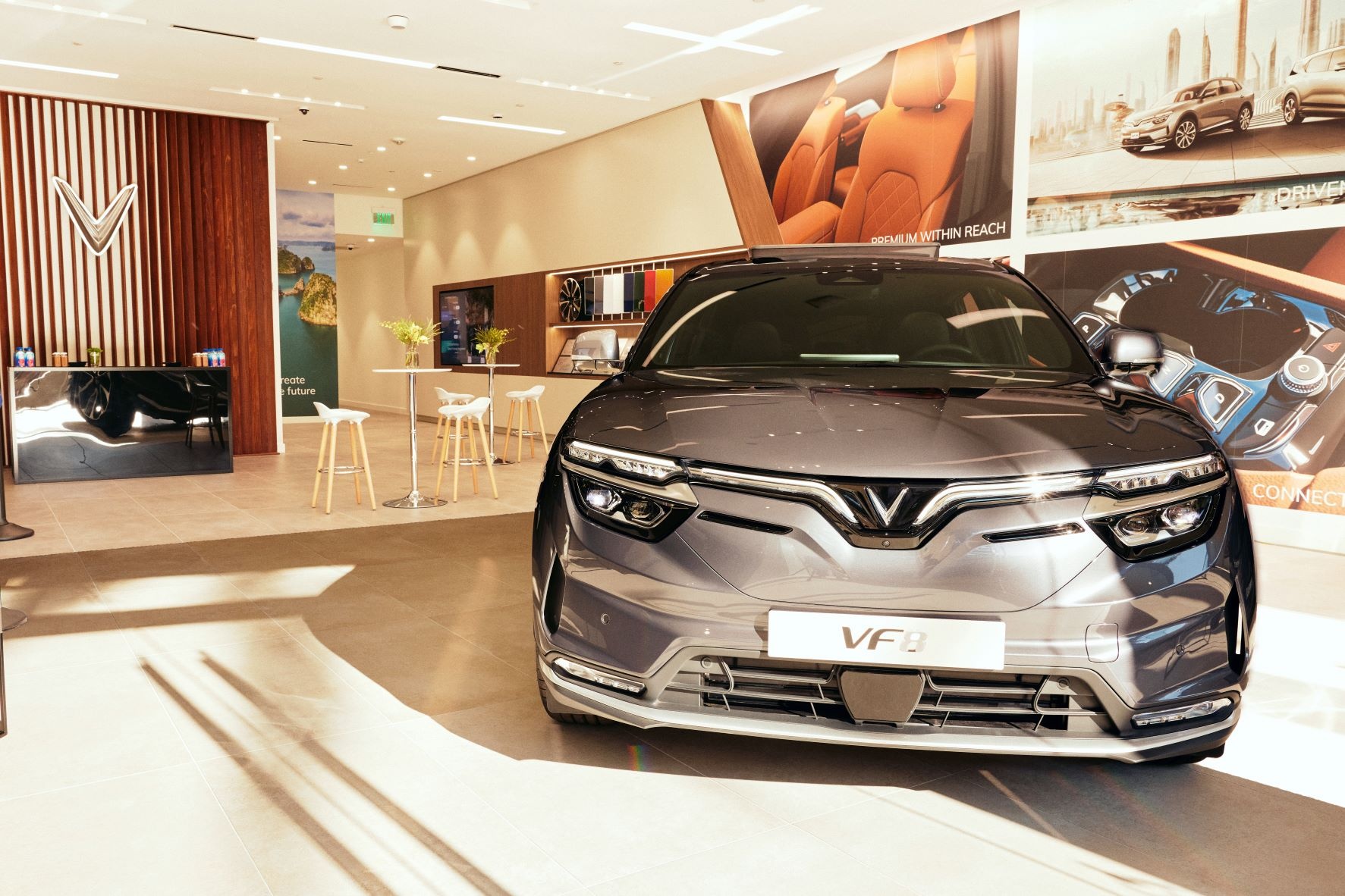 VinFast,  California anh 3