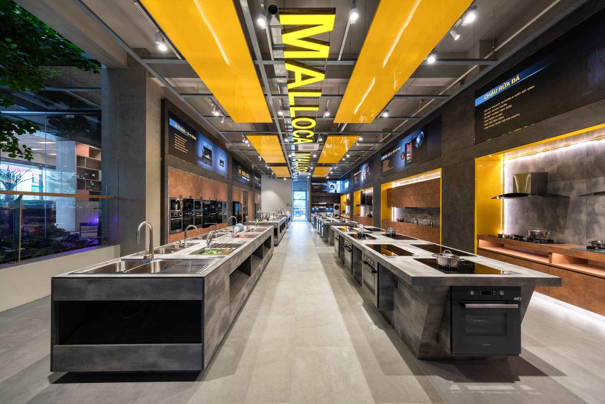 Malloca ảnh 3 Malloca anh 3