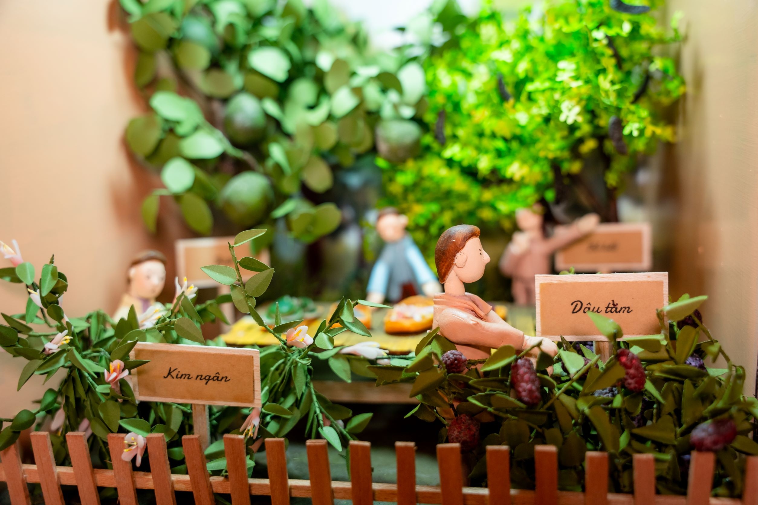 Clear Thao Moc anh 1