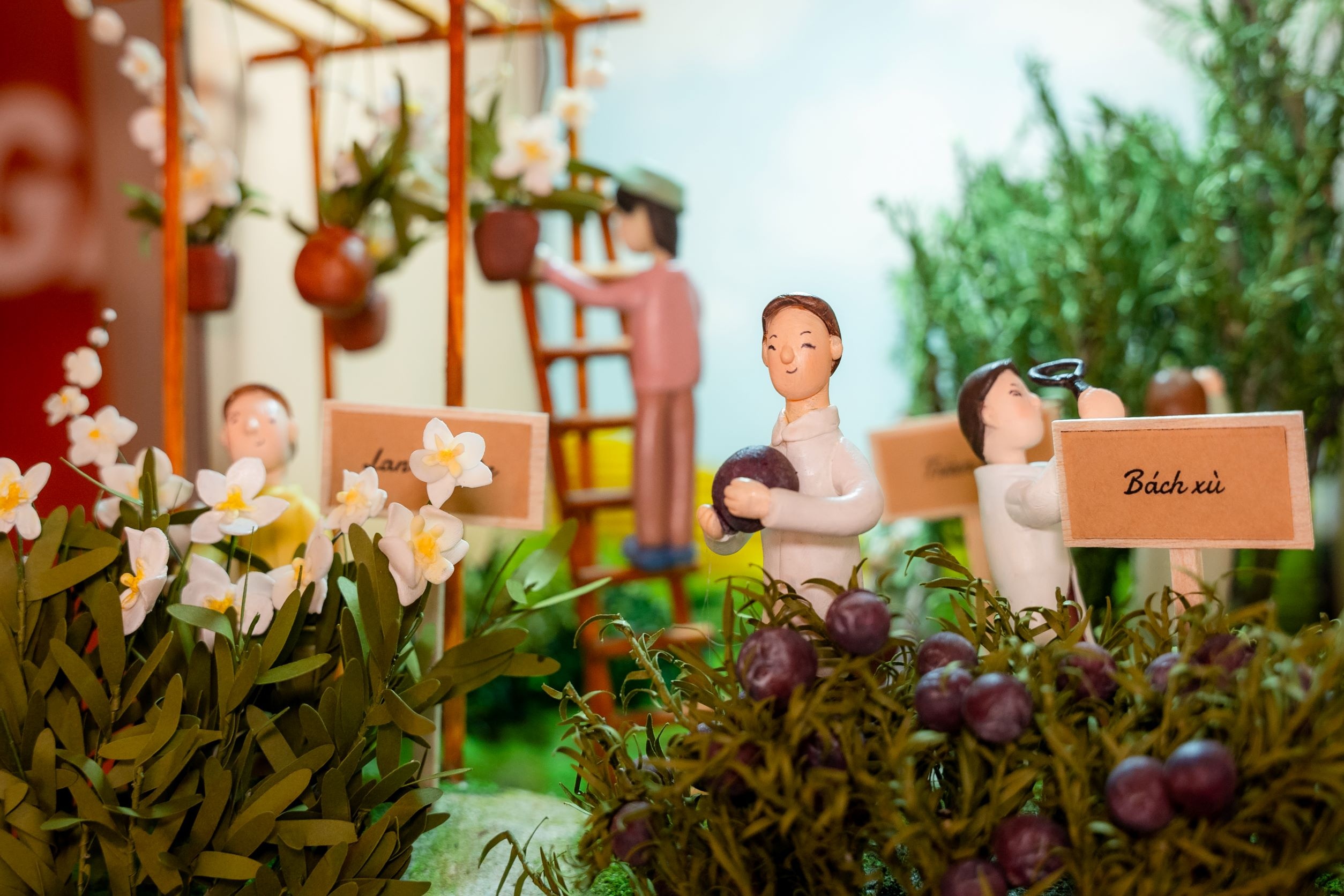 Hanh trinh che tac thao duoc goi gon trong mo hinh dat nan thu nho hinh anh