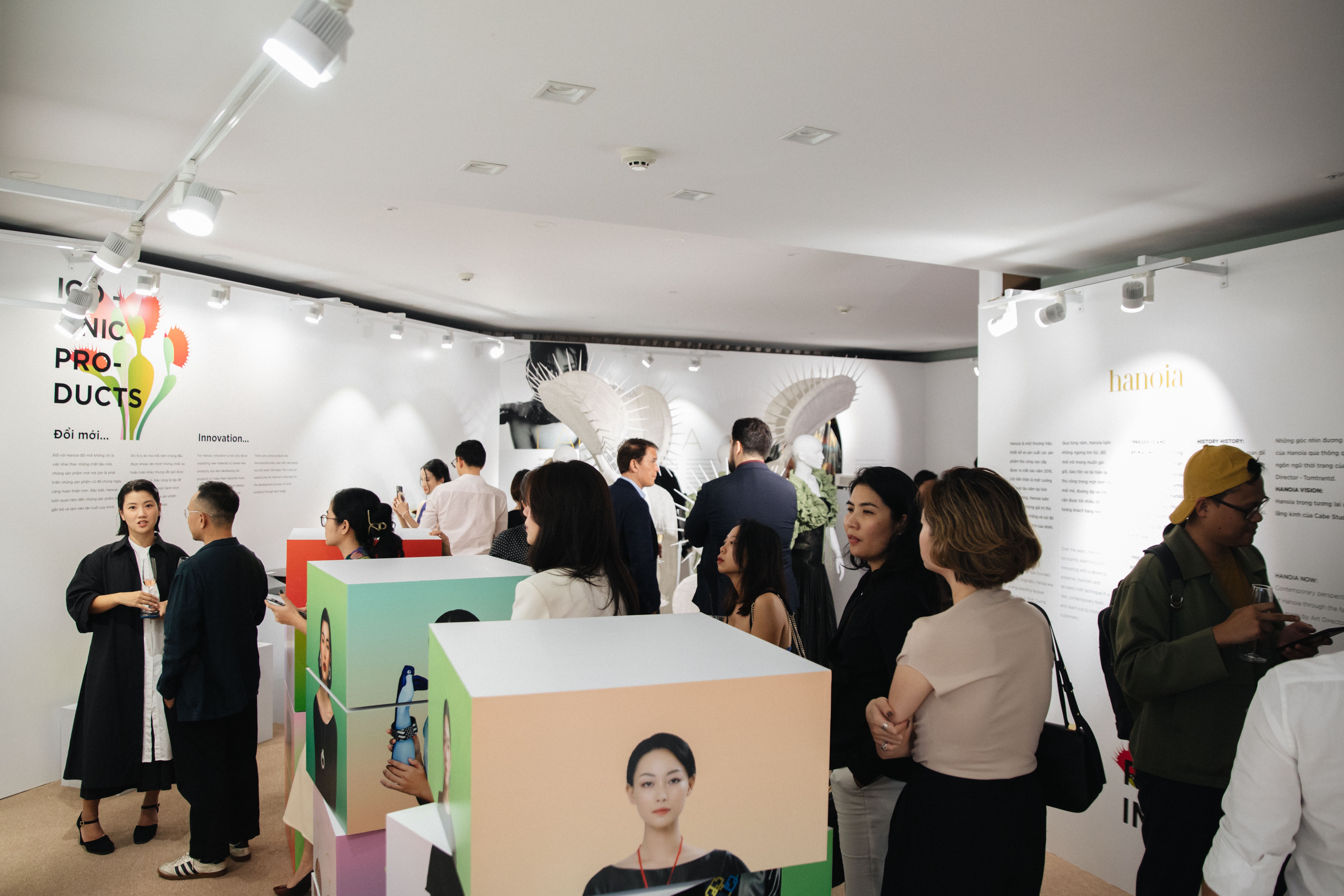 Hanoia,  Tom Trandt anh 7