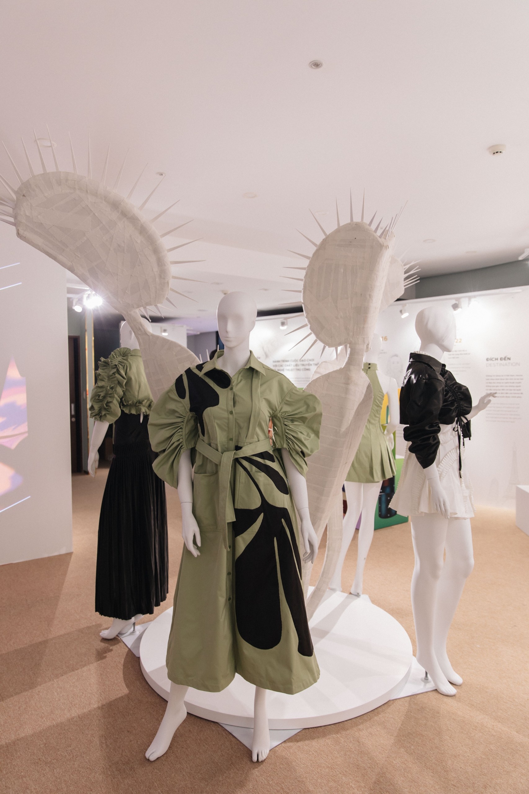 Hanoia,  Tom Trandt anh 11