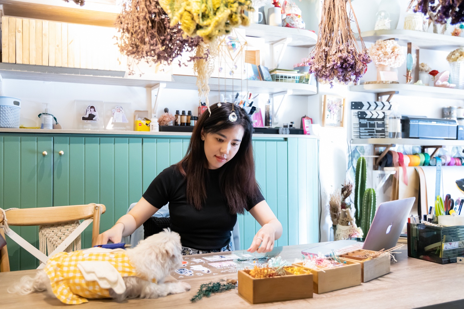 tro ly ao,  tro ly oto anh 9