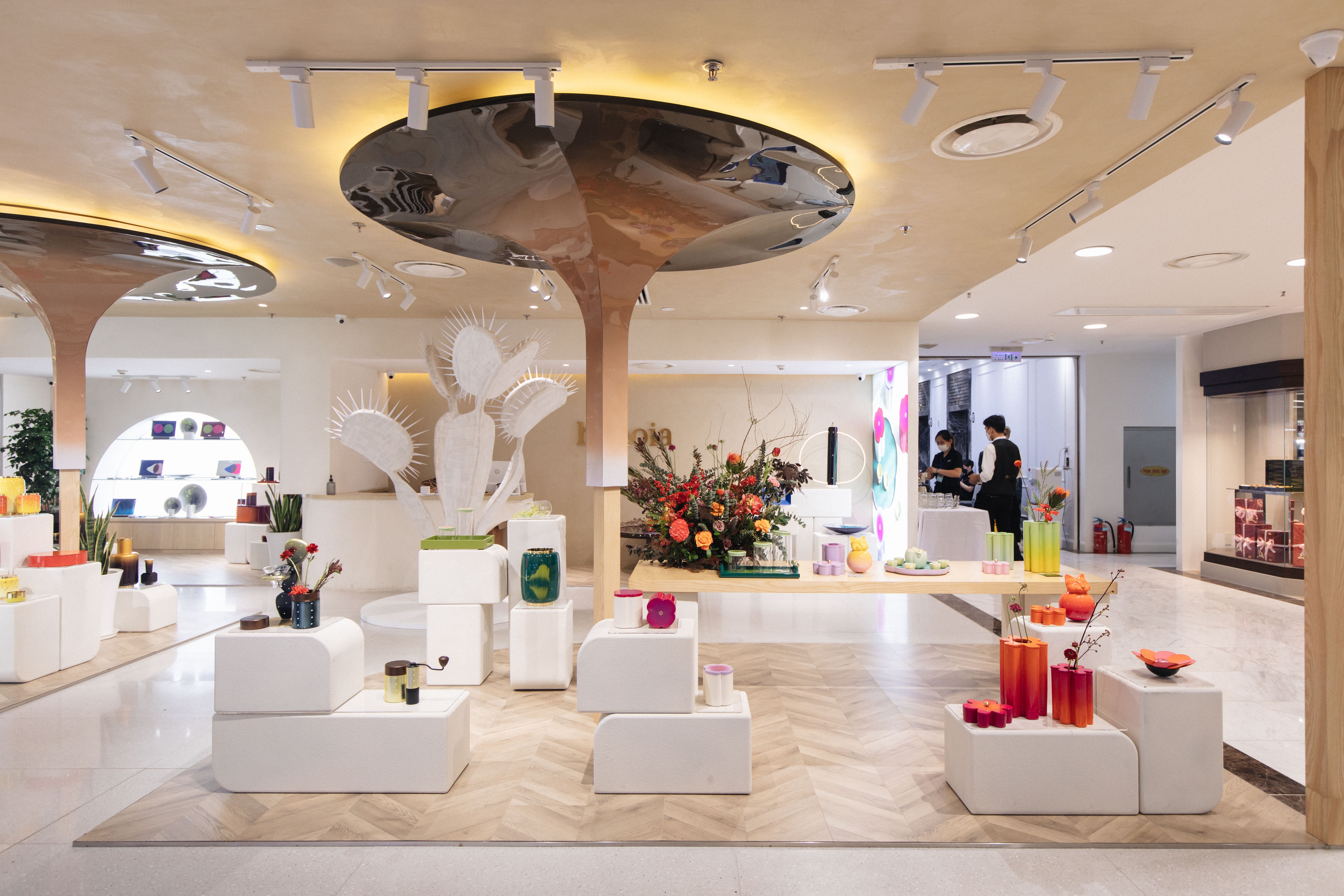 Hanoia,  Tom Trandt anh 2