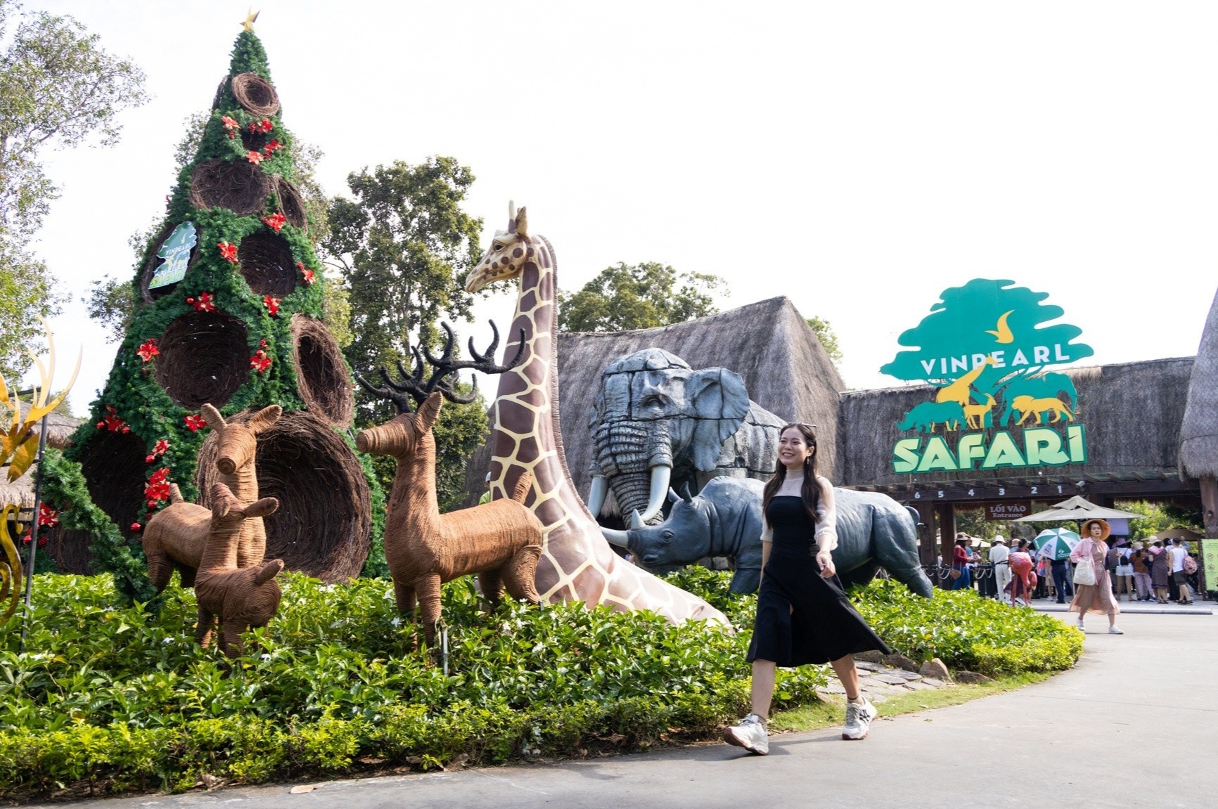 dien mao le hoi anh 5