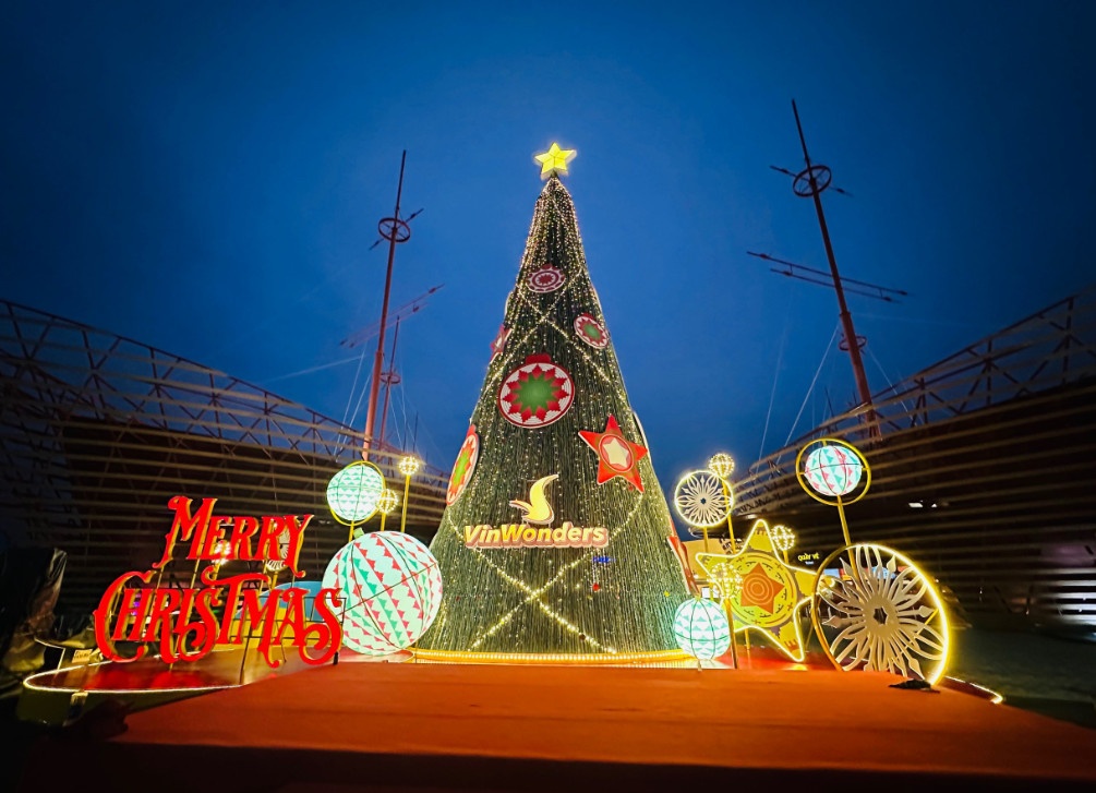 dien mao le hoi anh 11