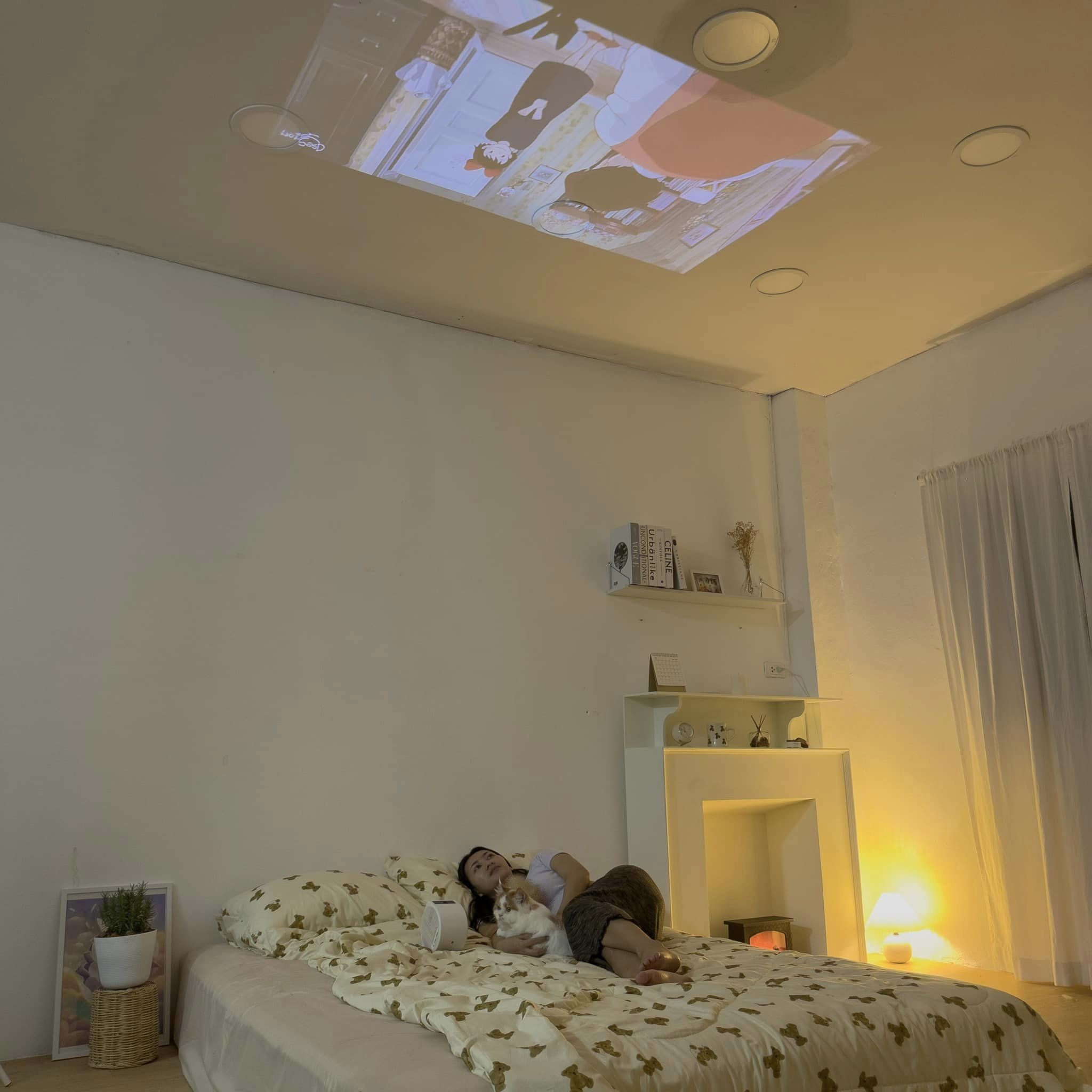 may chieu mini,  GV30 anh 2