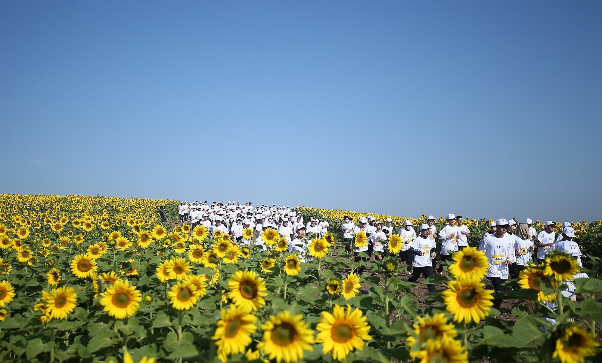 S-race 2022,  giai chay anh 2