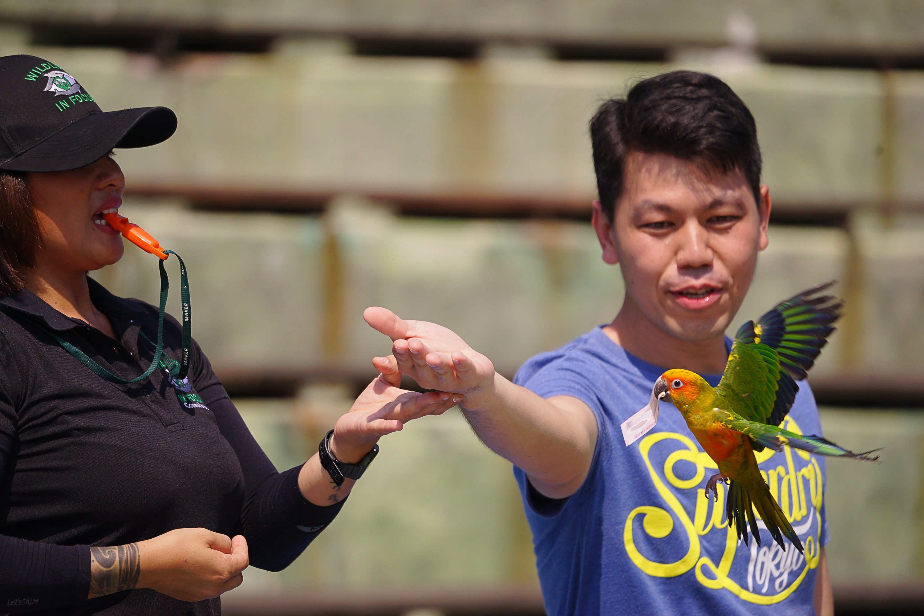 Sun World Fansipan Legend anh 2