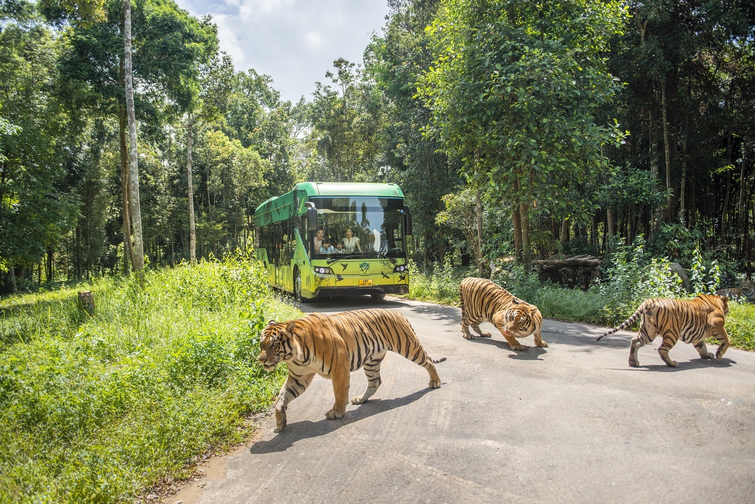 Du lịch Phú Quốc ảnh 13 Du lich Phu Quoc anh 13