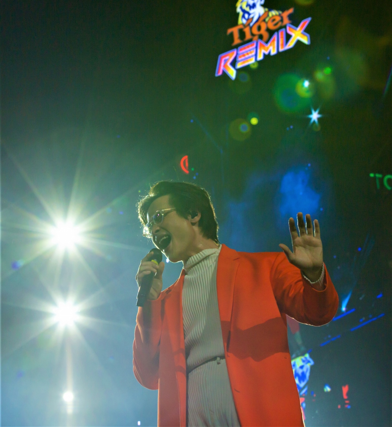 Tiger Beer,  Tiger Remix anh 5