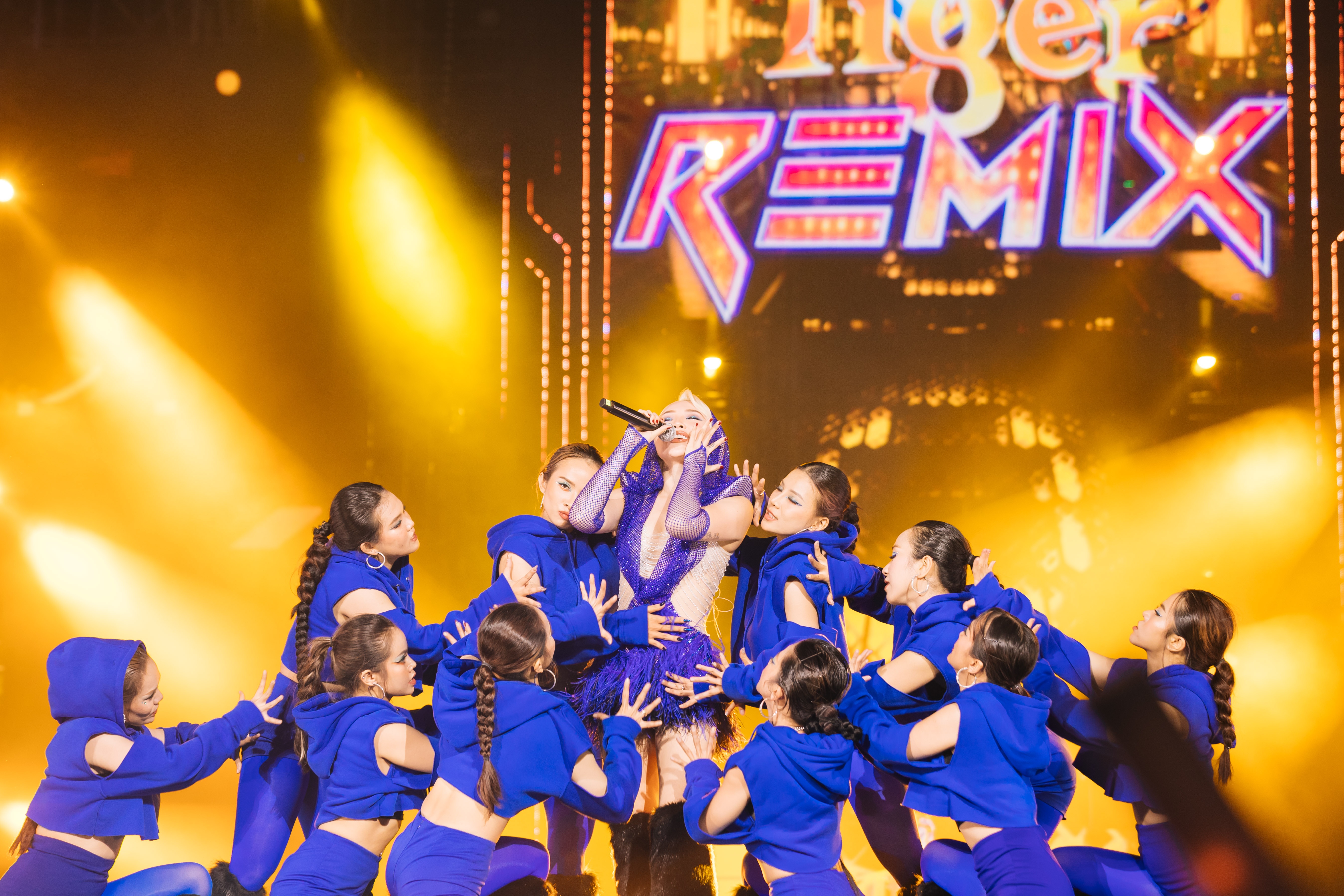 Tiger Beer,  Tiger Remix anh 7