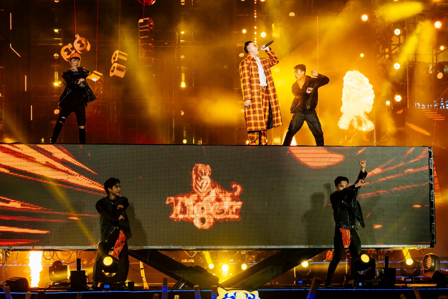 Tiger Beer,  Tiger Remix anh 10