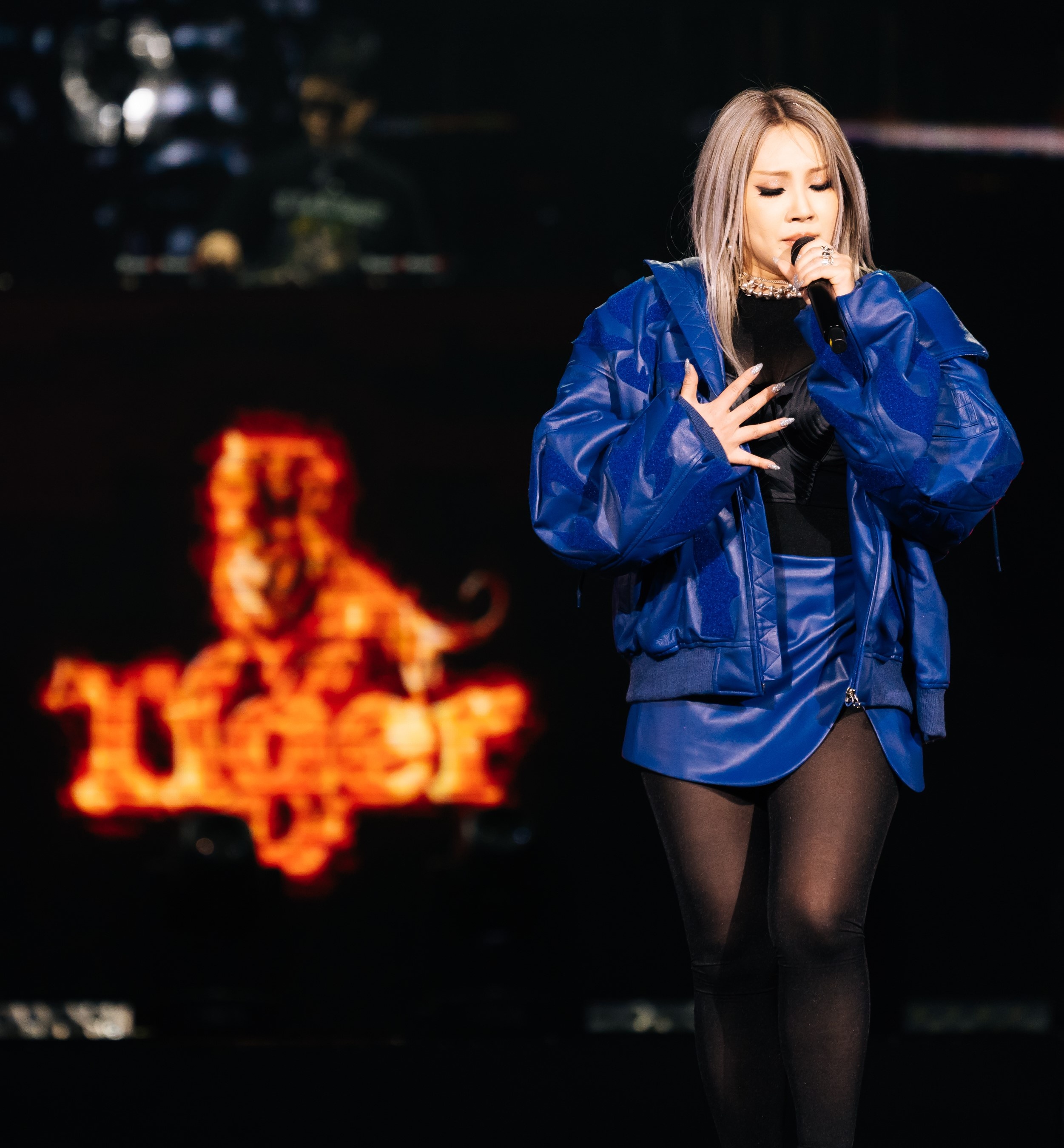 Tiger Beer,  Tiger Remix anh 3