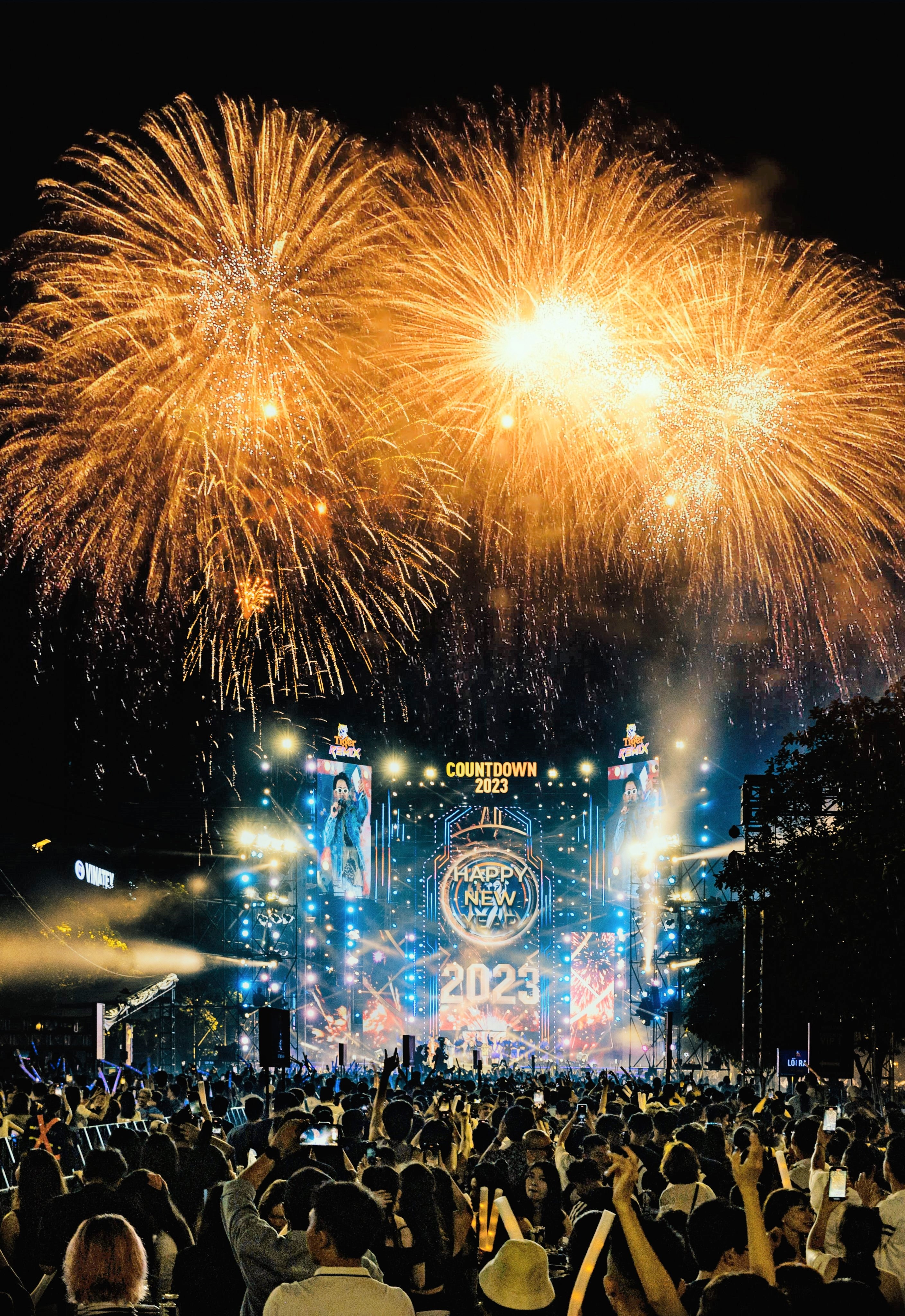 Tiger Beer,  Tiger Remix anh 14