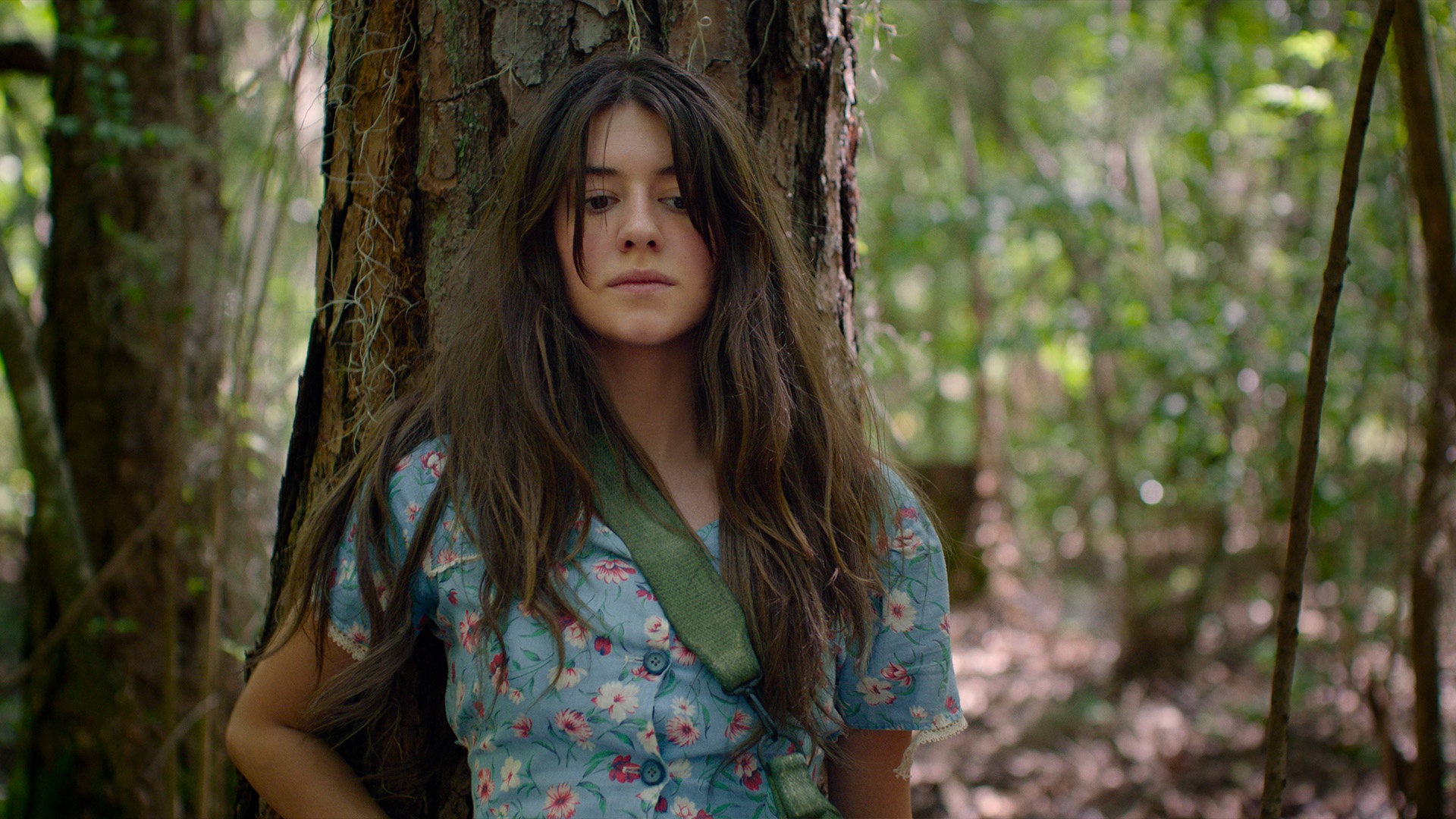 phim hay,  dien anh anh 1