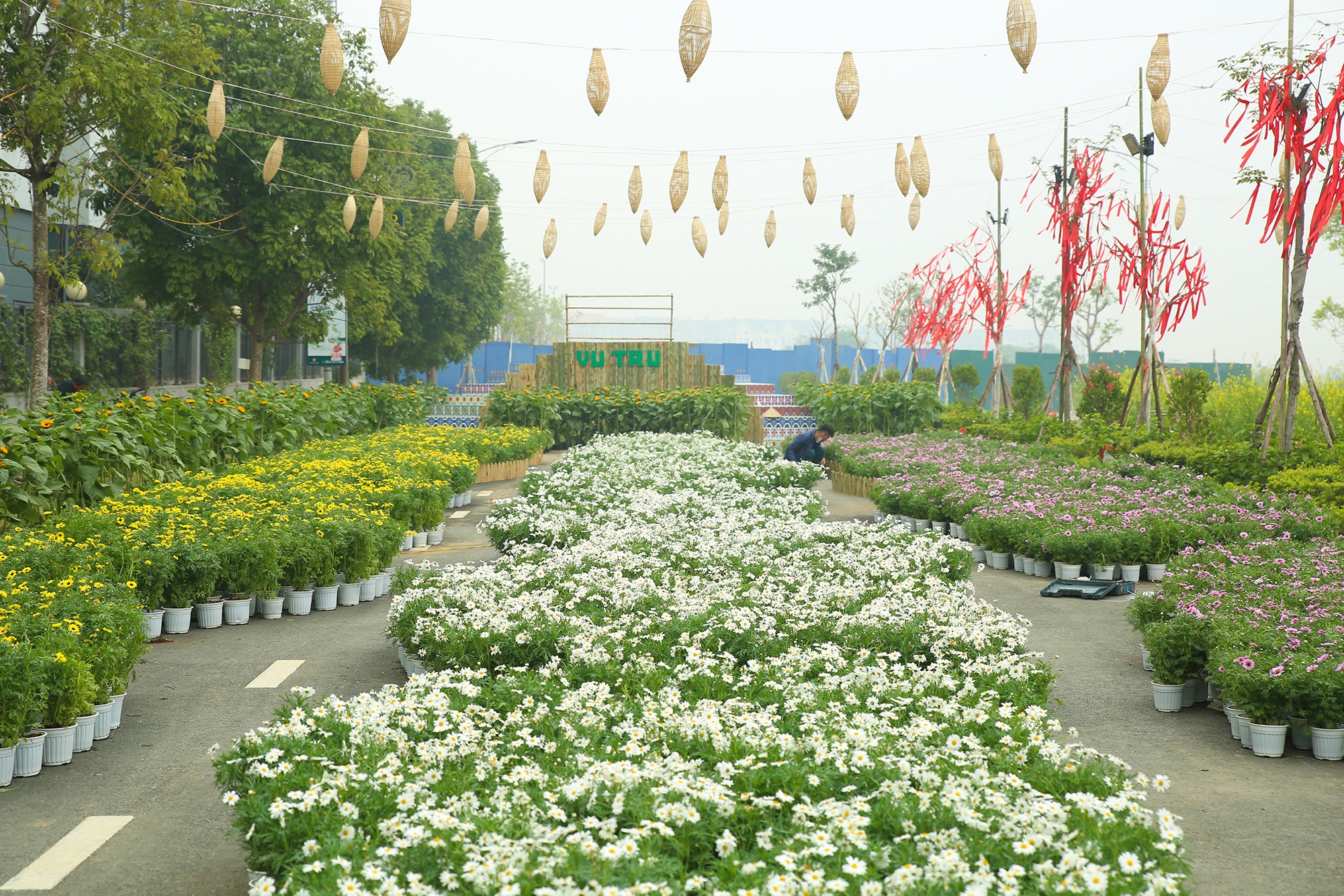 Home Hanoi Xuan 2023 anh 1