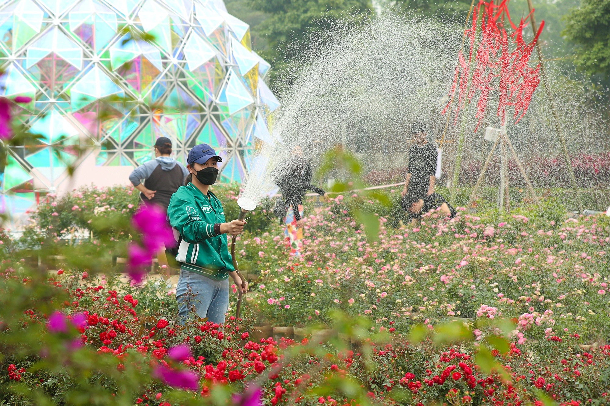 Home Hanoi Xuan 2023 anh 2