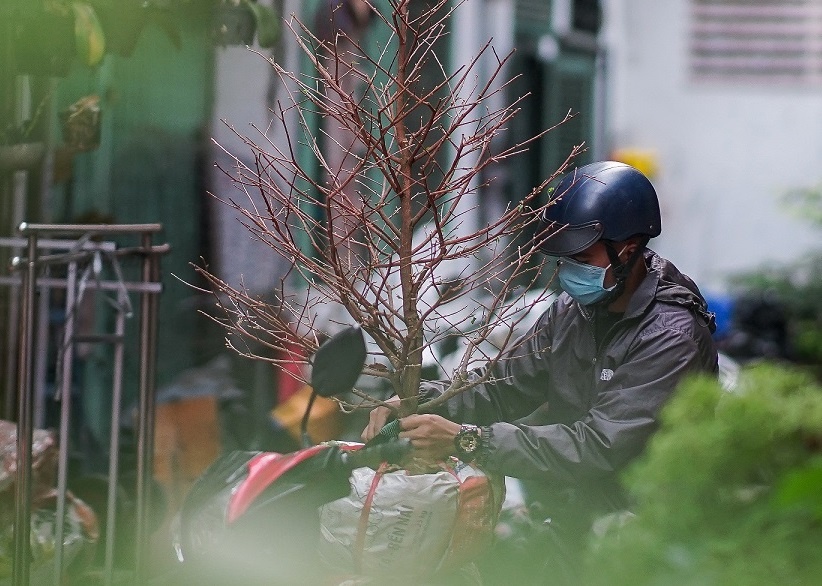 Nguoi nguoi san sang cho Tet som hinh anh