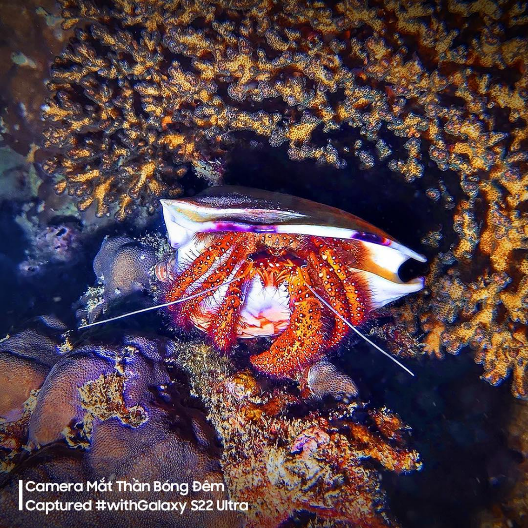 Samsung ảnh 7 Samsung anh 7