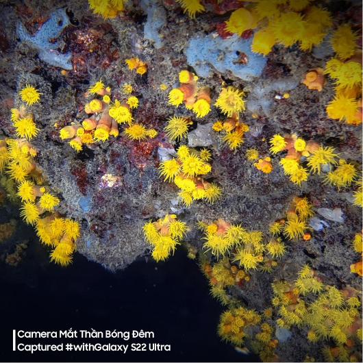 Samsung ảnh 8 Samsung anh 8