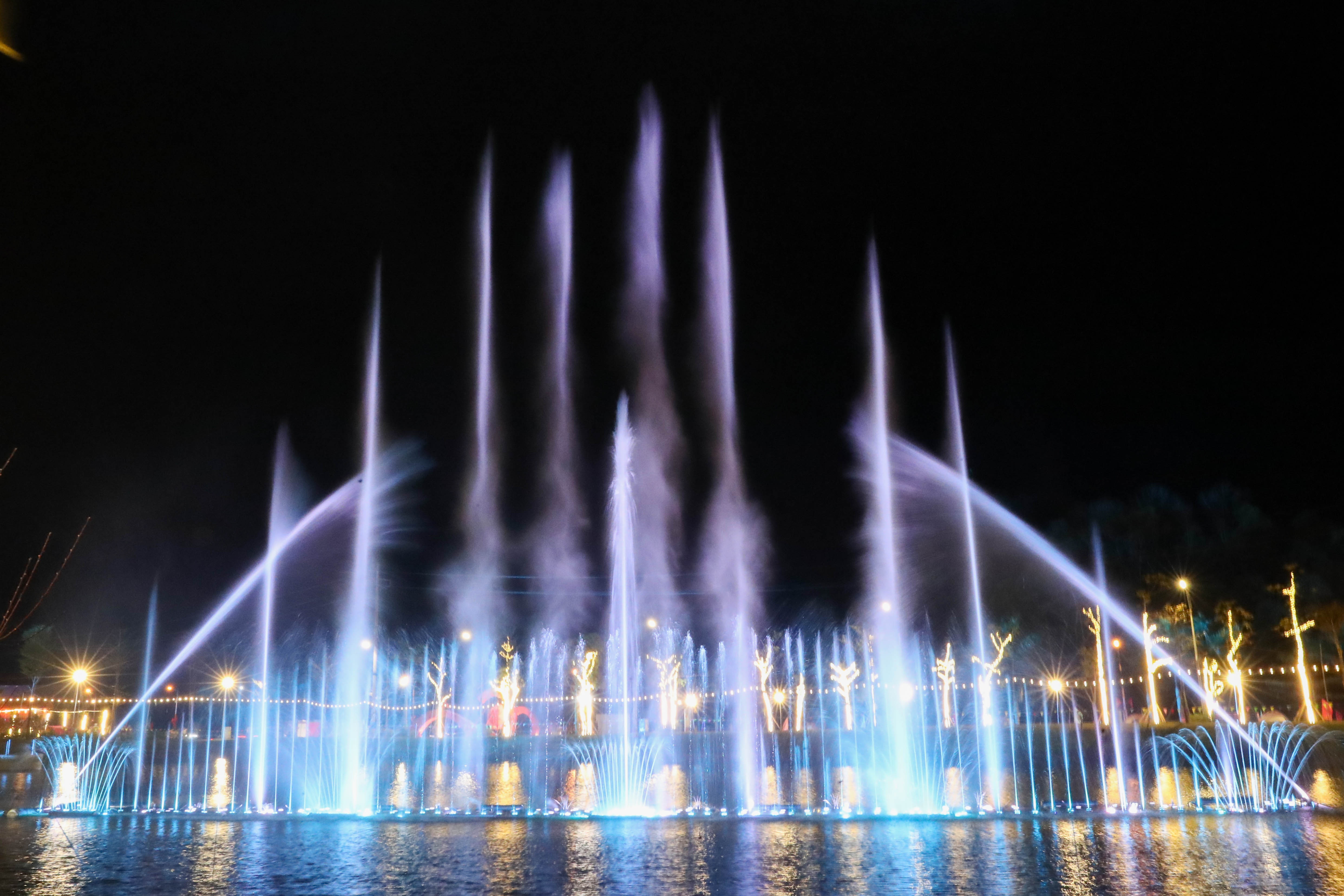 Lễ hội hoa đào ảnh 14 Le hoi hoa dao anh 14