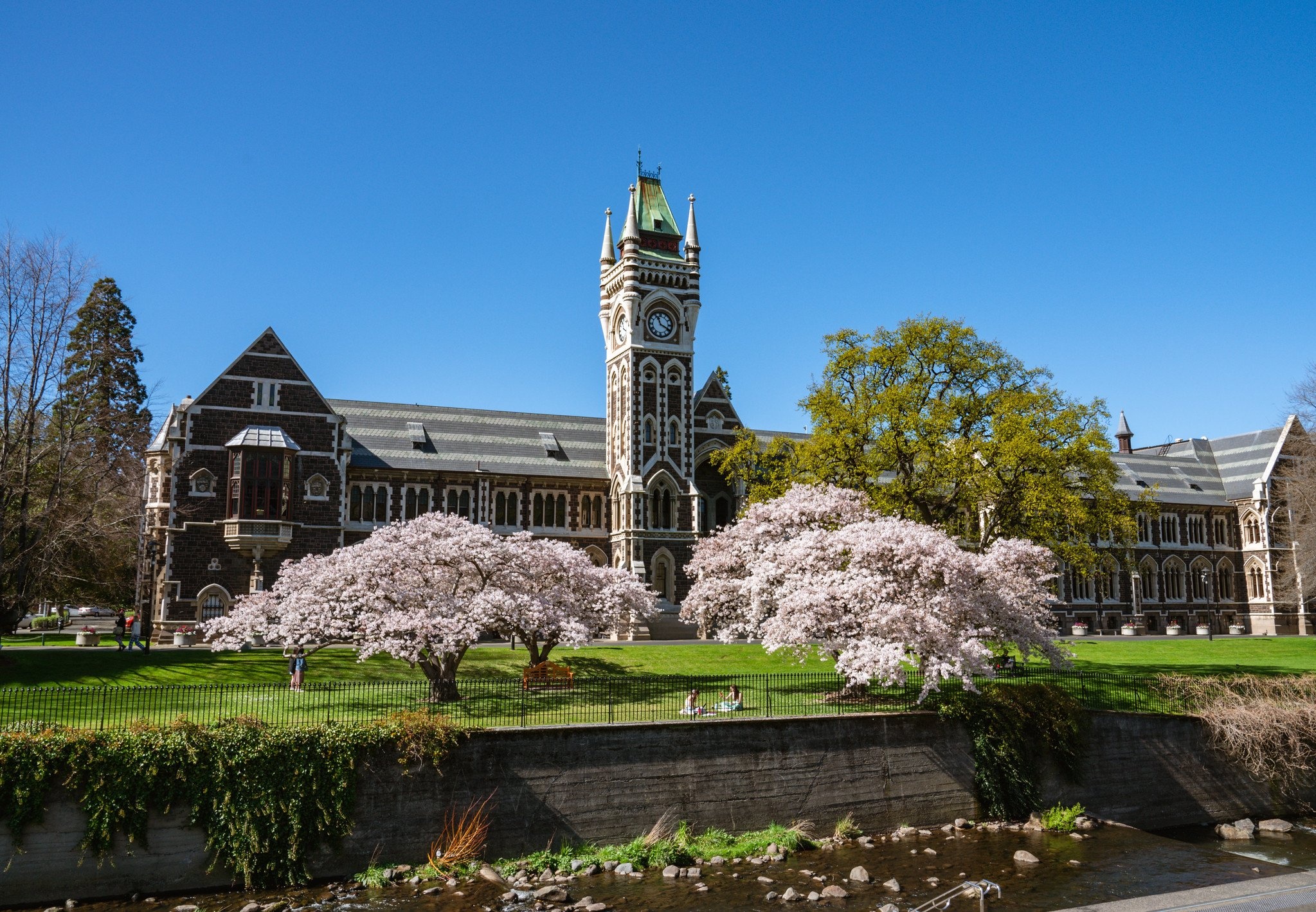 Nam bat co hoi du hoc New Zealand hinh anh