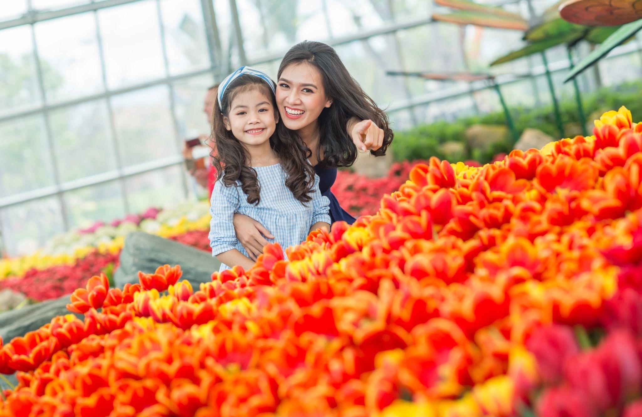 VinWonders,  Vinpearl ảnh 5 VinWonders,  Vinpearl anh 5