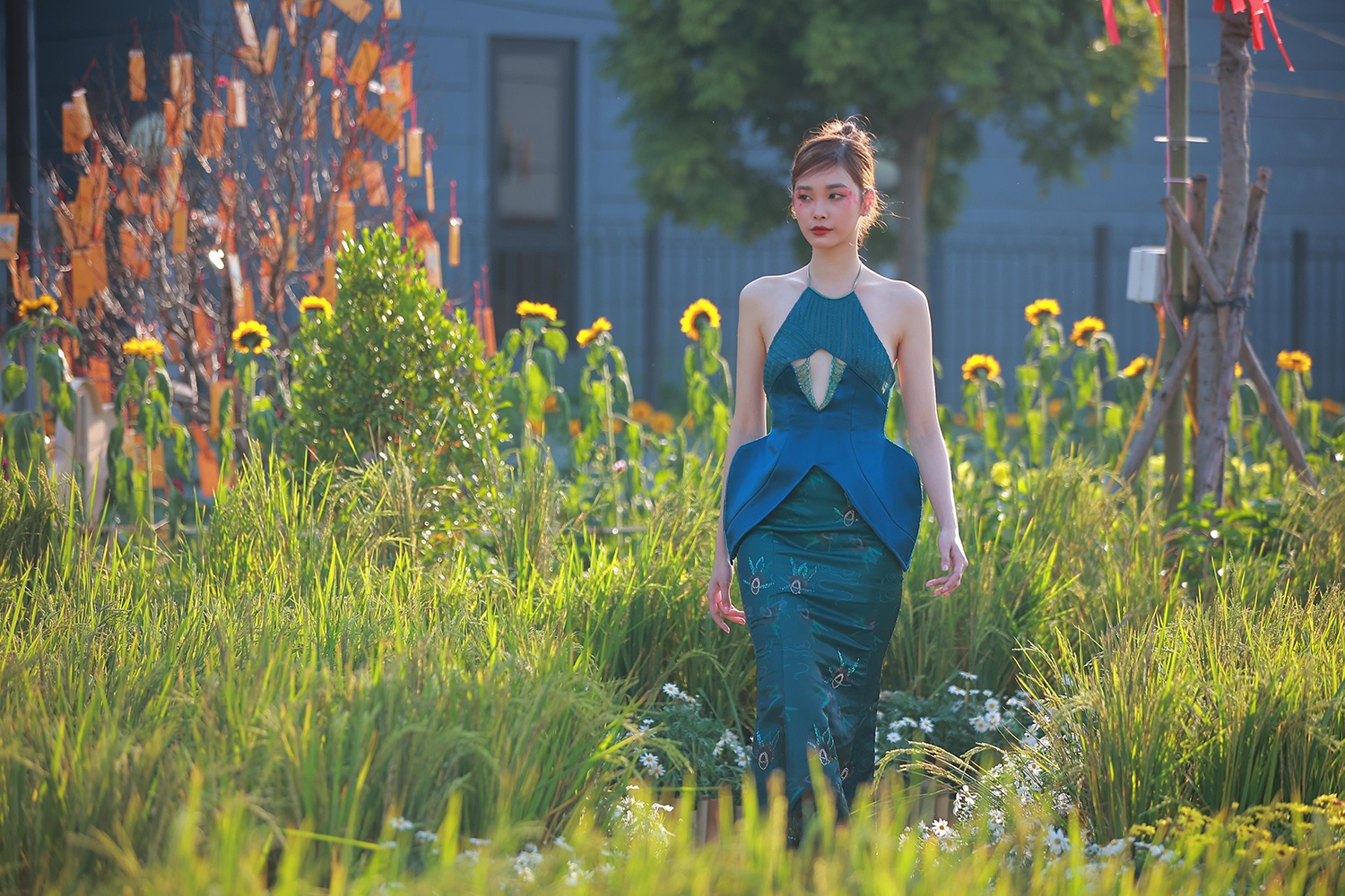 Phú Long ảnh 10 Phu Long anh 10