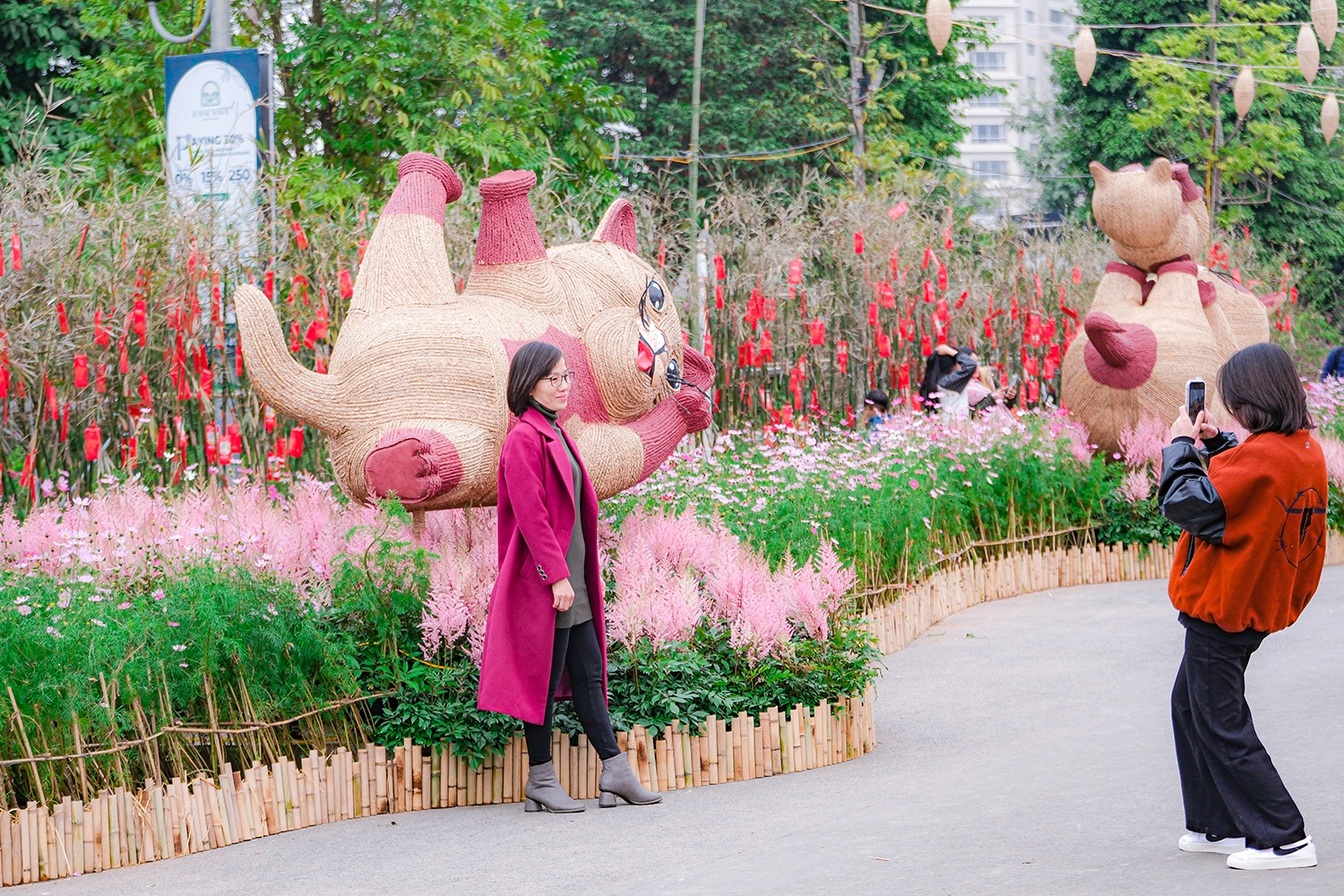 Phú Long ảnh 11 Phu Long anh 11