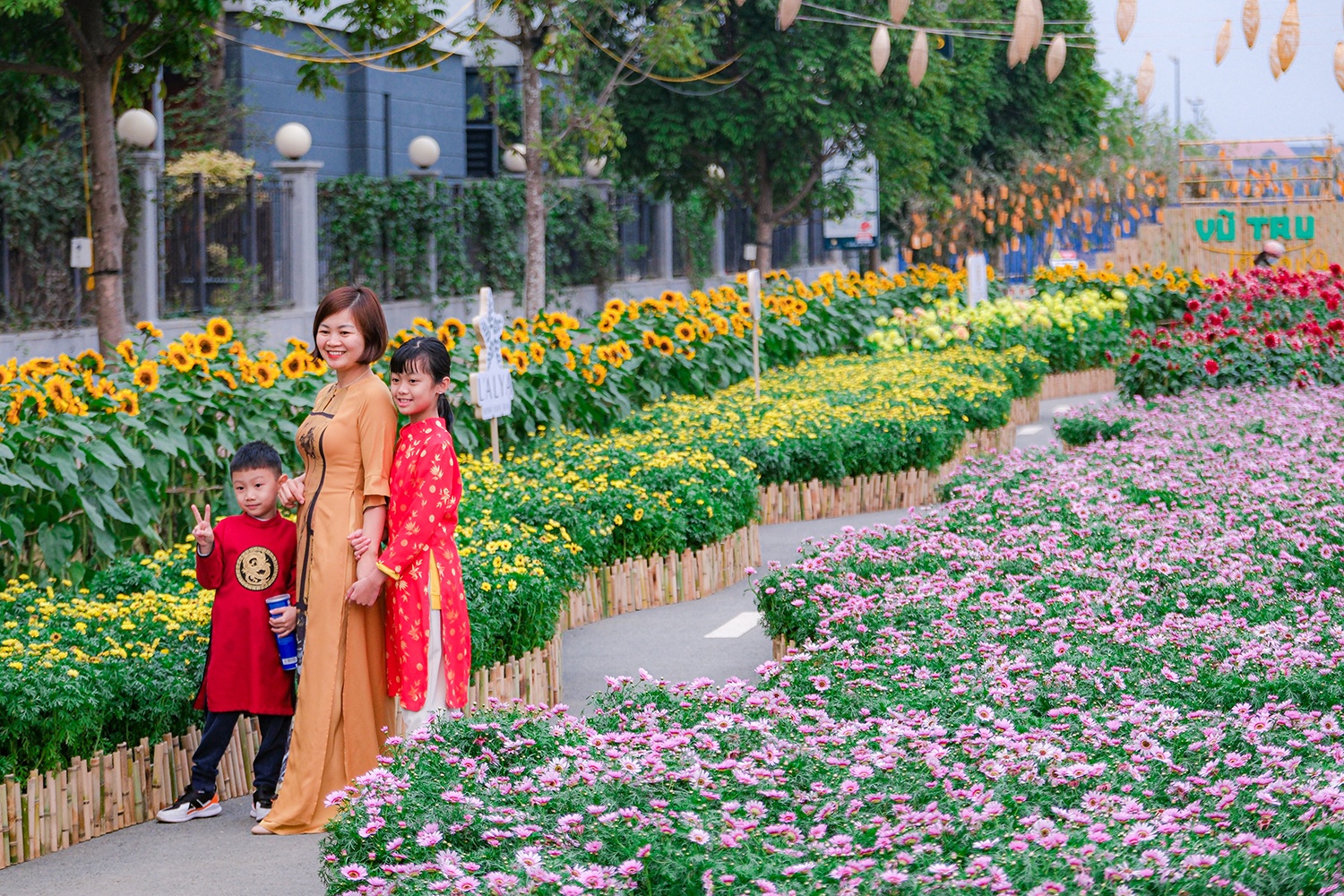 Phú Long ảnh 12 Phu Long anh 12