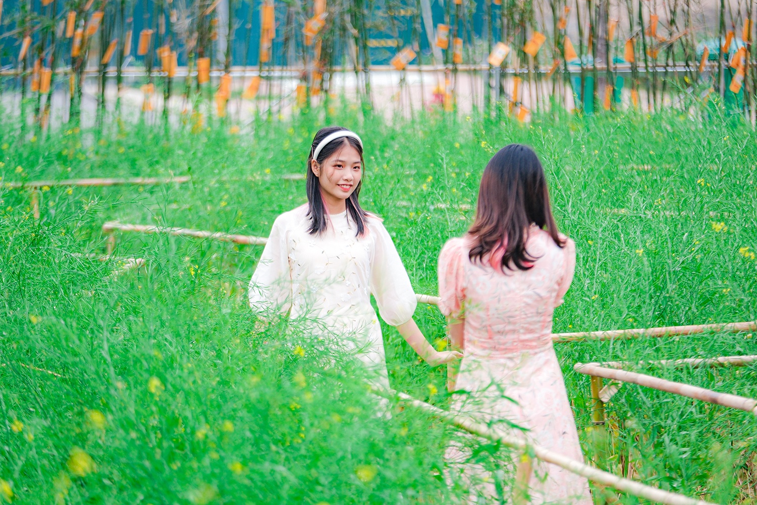 Phú Long ảnh 3 Phu Long anh 3