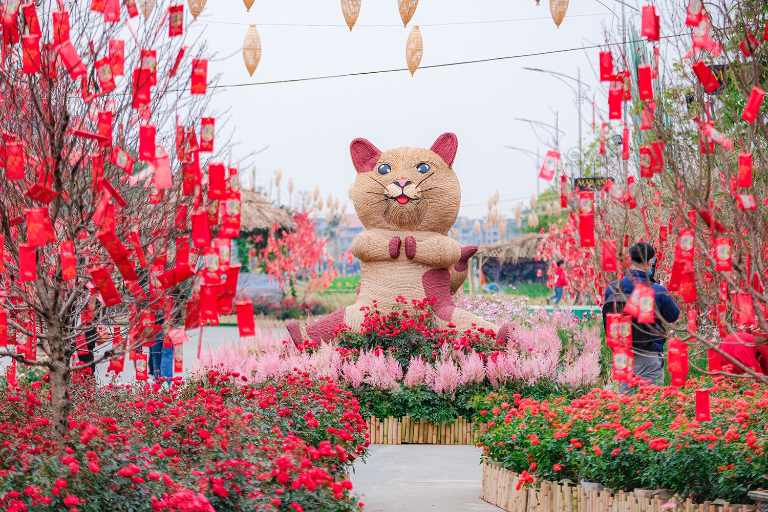 Phú Long ảnh 4 Phu Long anh 4