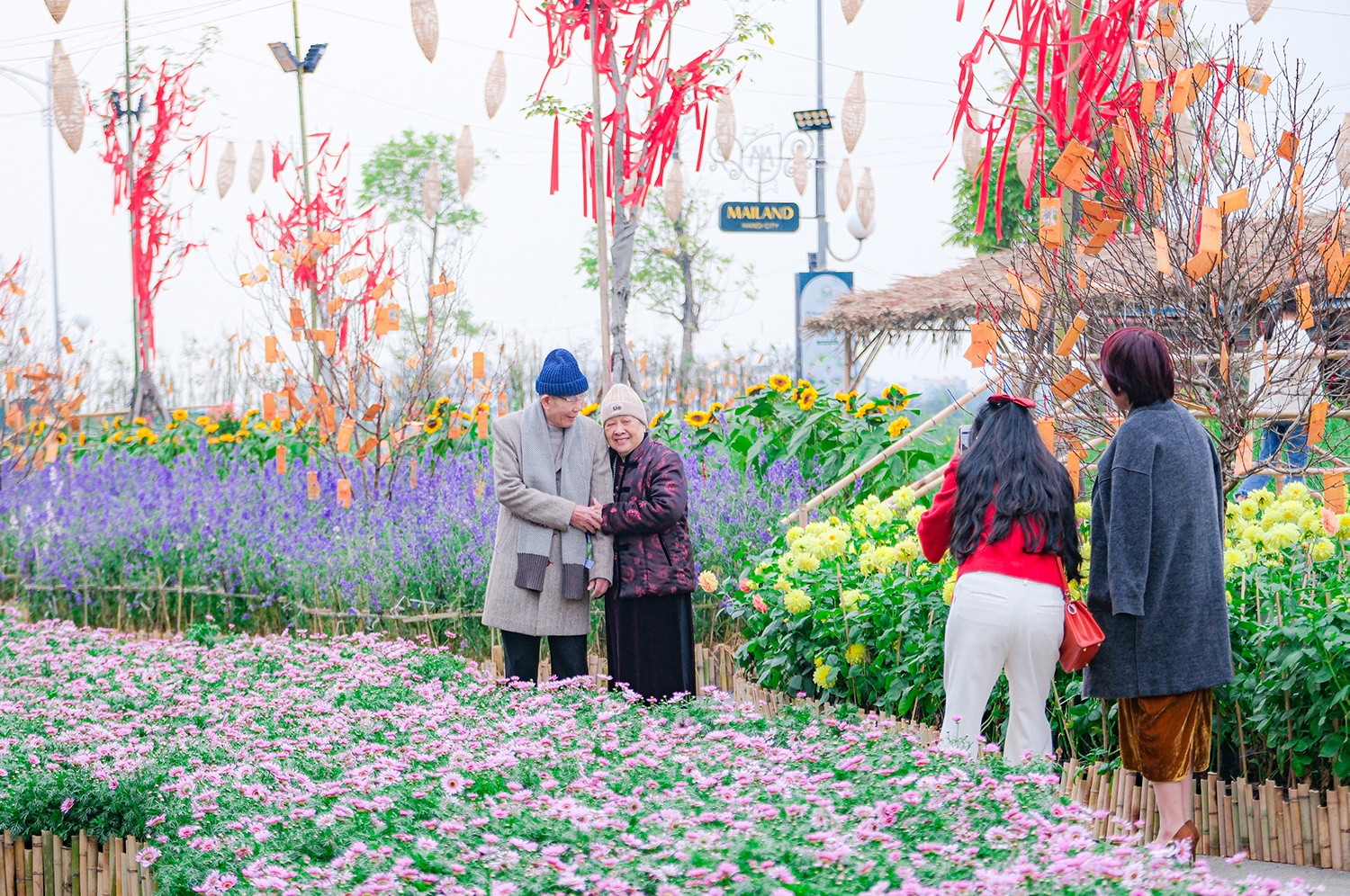 Phú Long ảnh 6 Phu Long anh 6