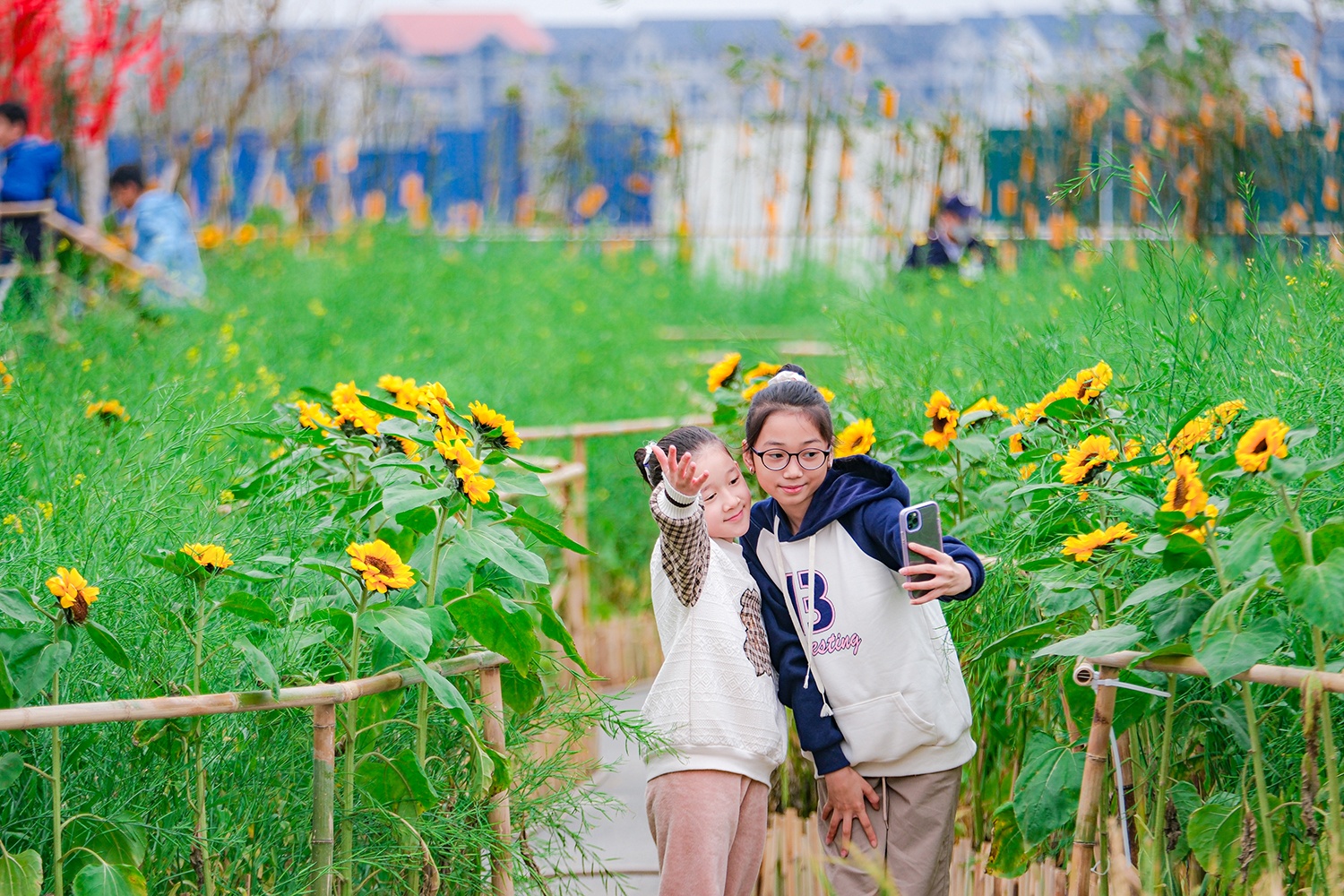 Phú Long ảnh 8 Phu Long anh 8