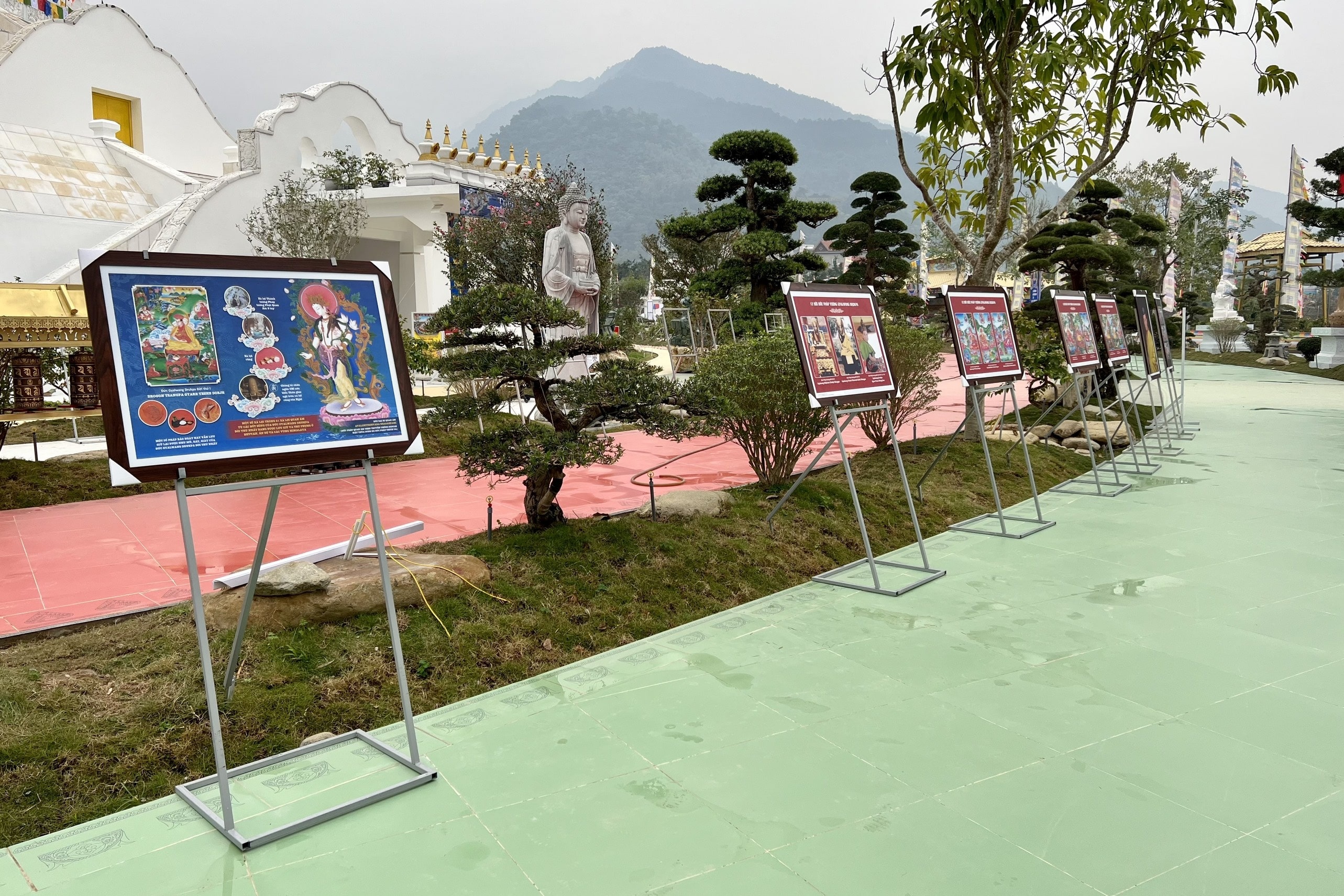 Dai phap hoi cau an anh 6