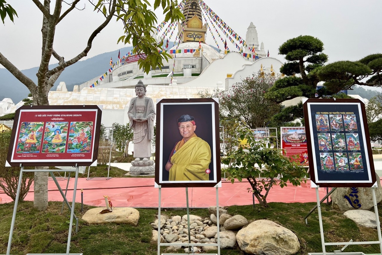 Dai phap hoi cau an anh 5