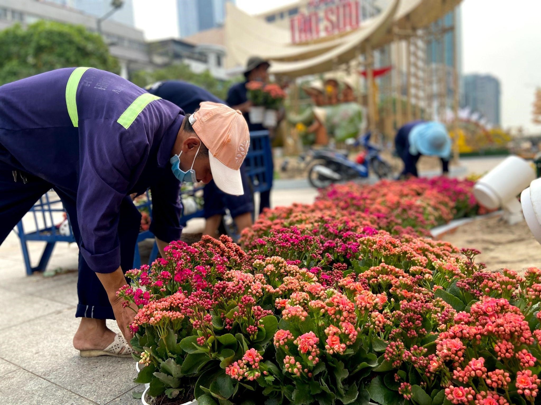 Nhung con nguoi tham lang tao nen mua xuan cho thanh pho hinh anh