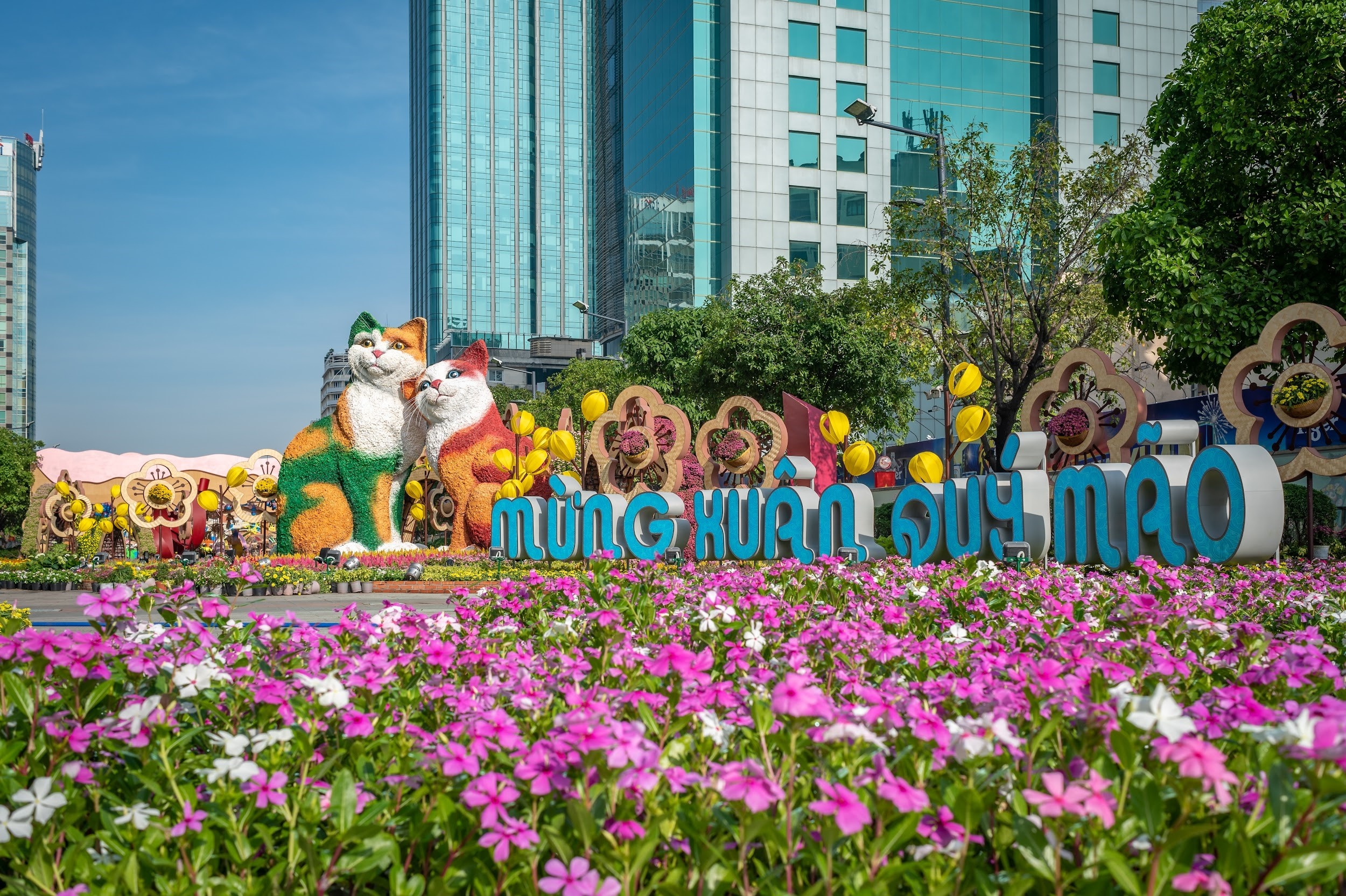 duong hoa Nguyen Hue anh 5