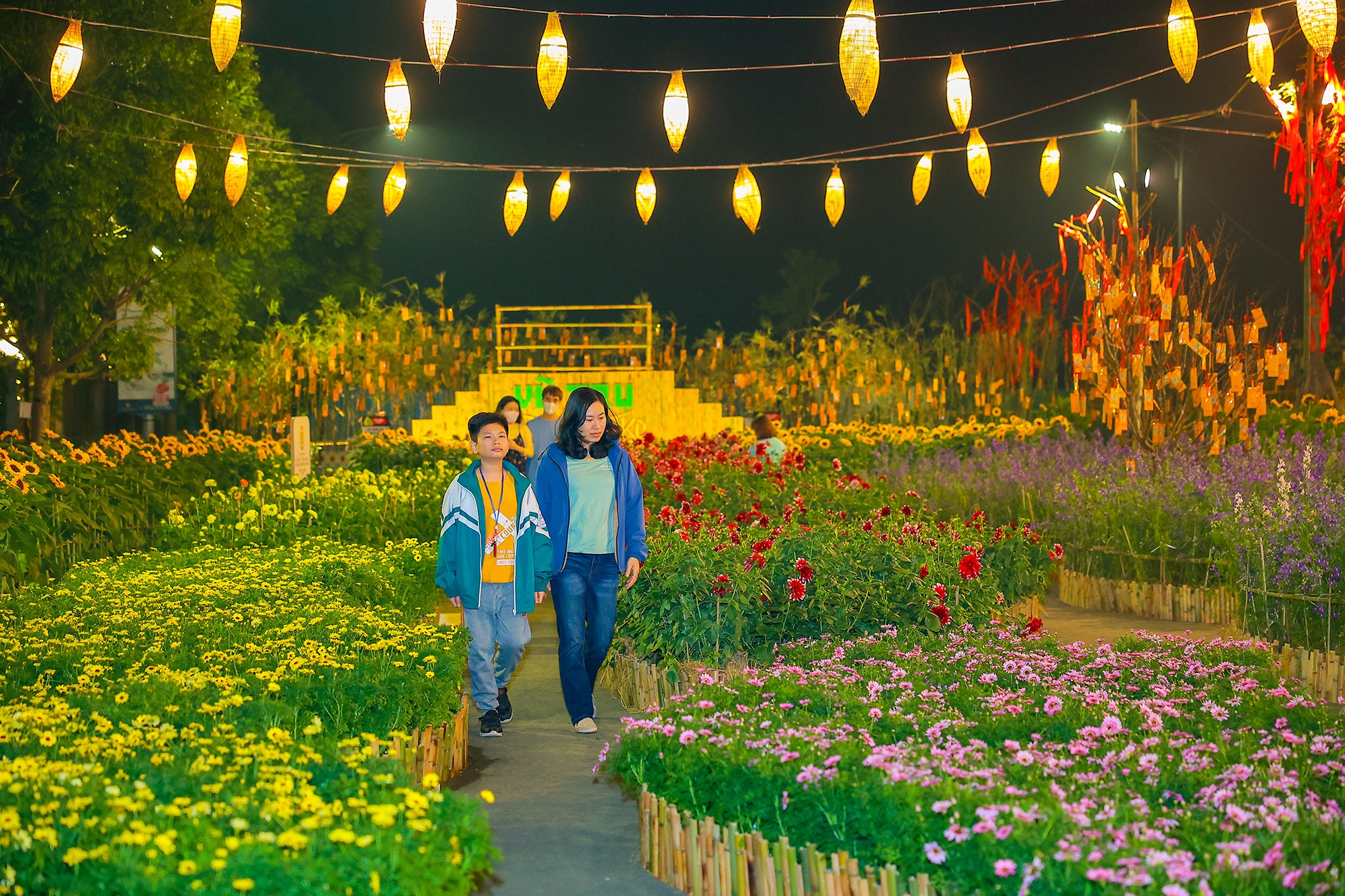 Home Hanoi Xuan 2023 ảnh 11 Home Hanoi Xuan 2023 anh 11